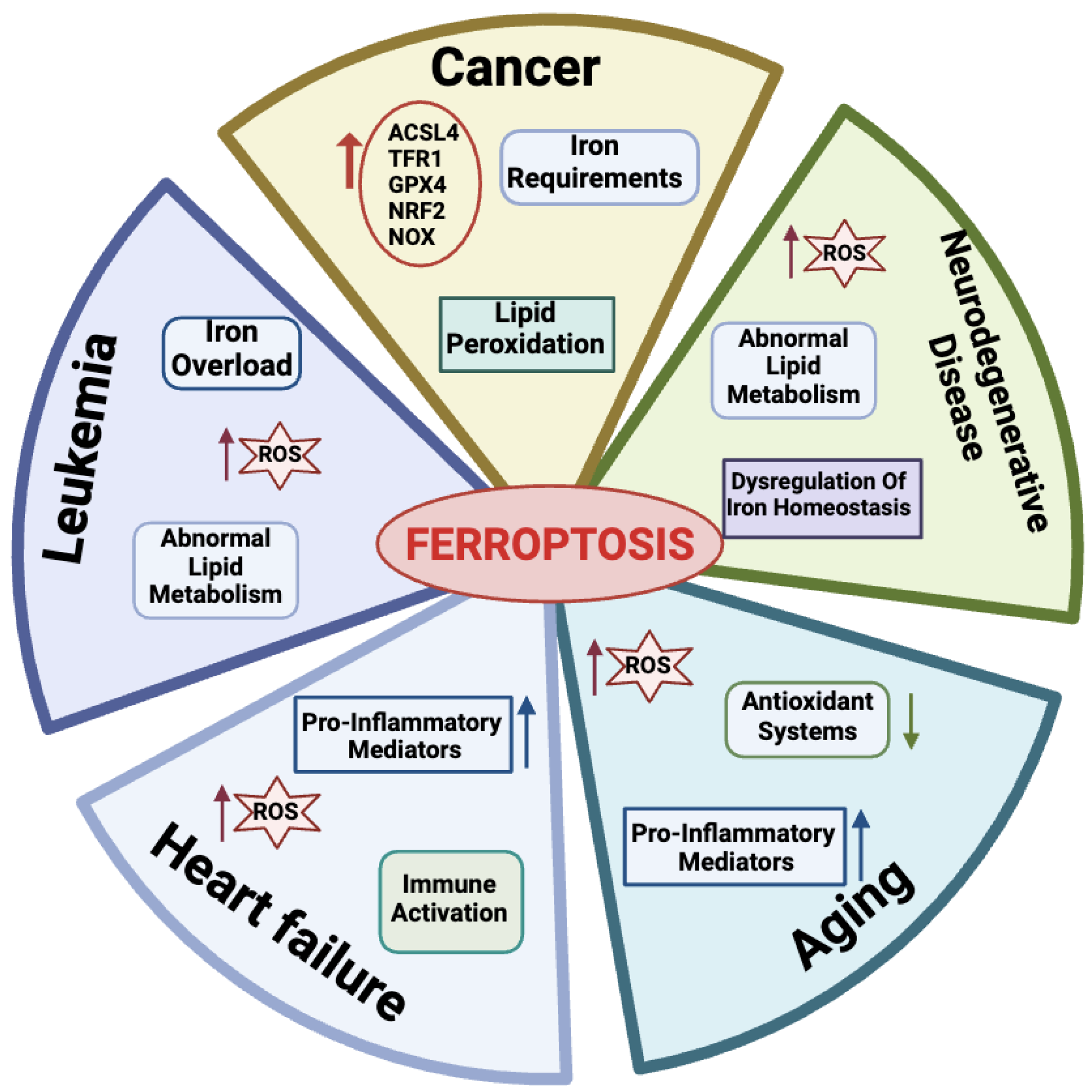 Antioxidants 13 00298 g003