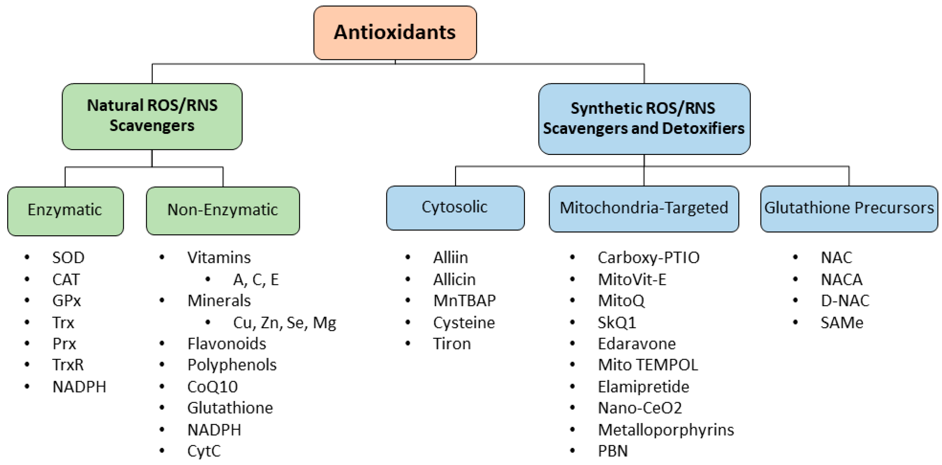 Antioxidants 13 00303 g003 Antioxidants 13 00303 g003