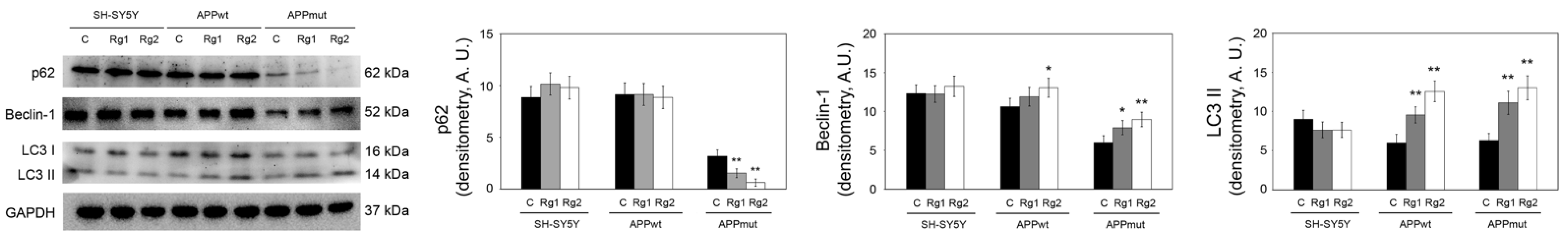 Antioxidants 13 00310 g002