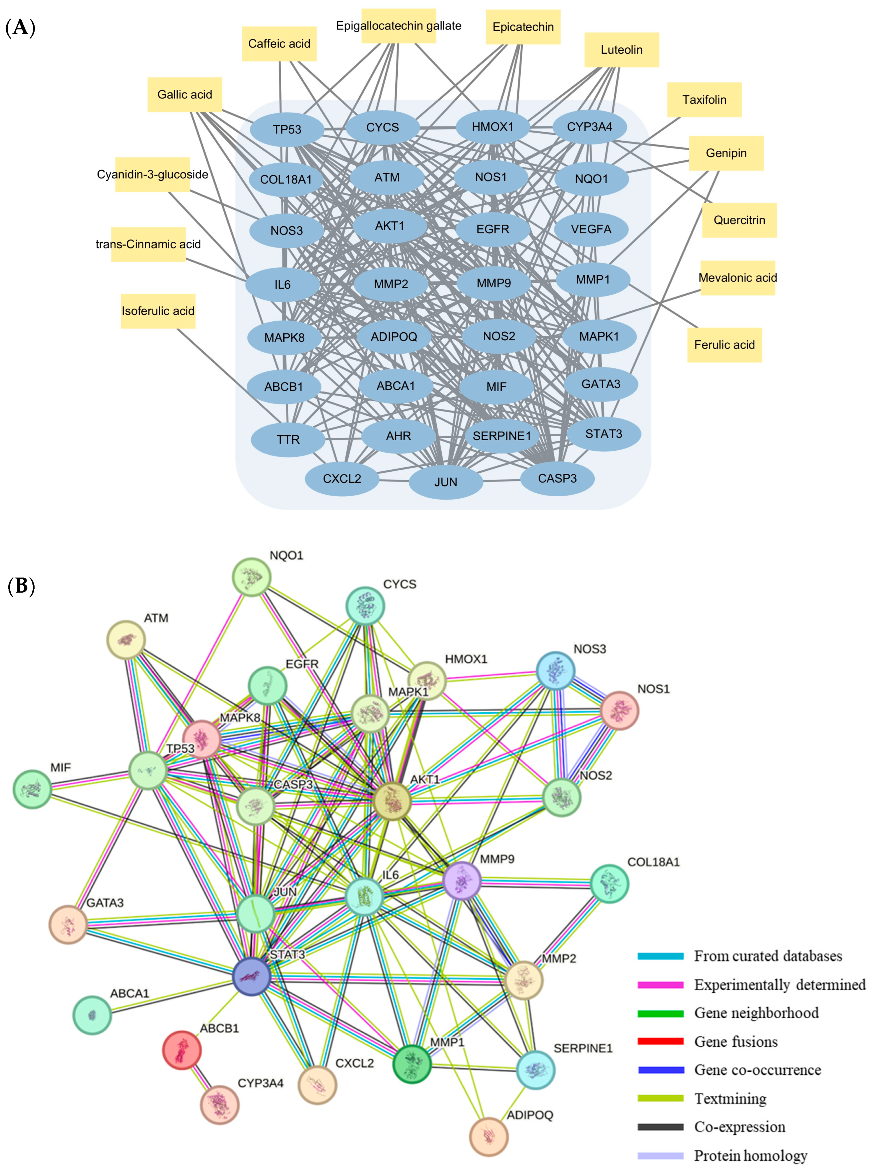 Antioxidants 13 00319 g006 Antioxidants 13 00319 g006