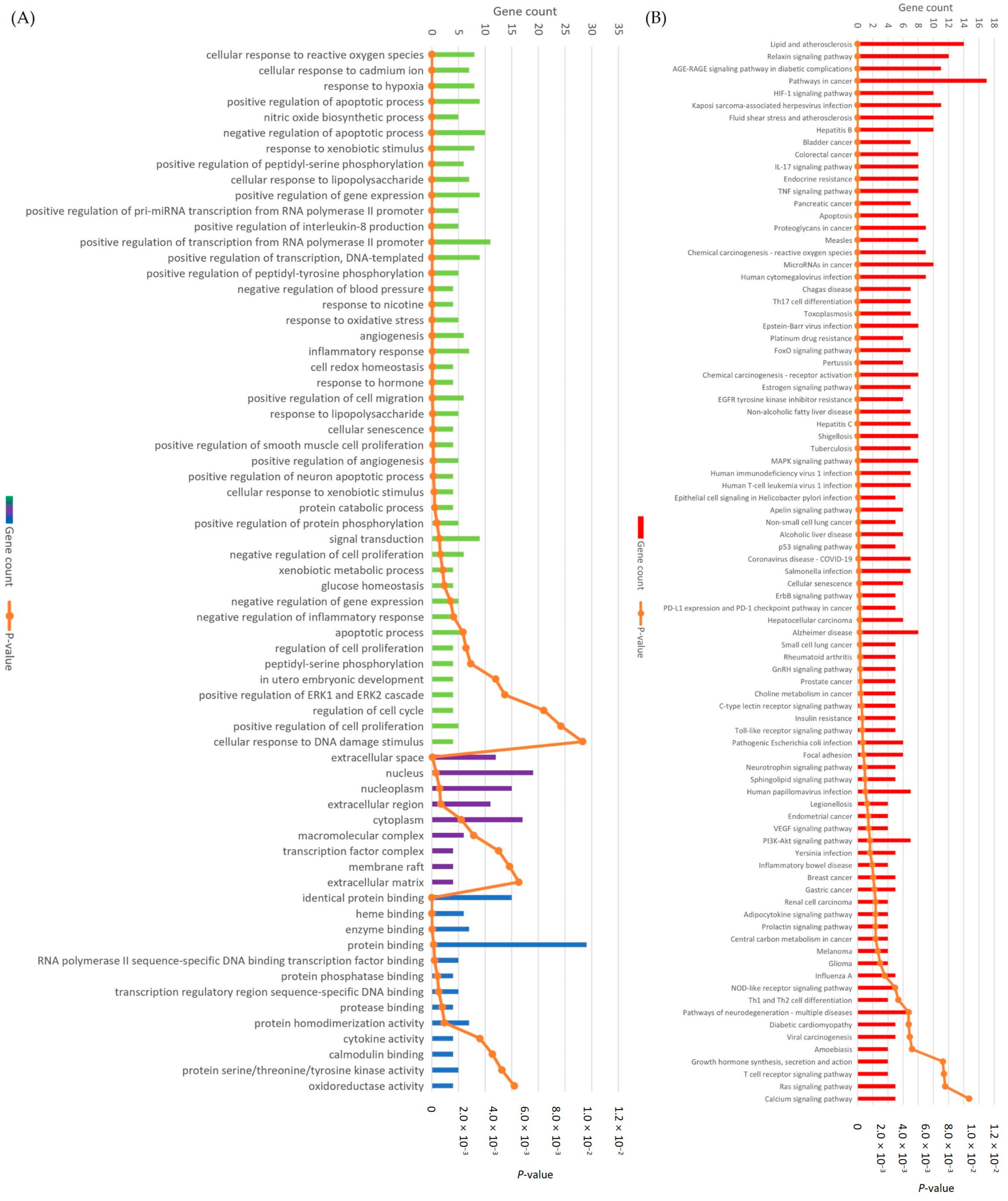 Antioxidants 13 00319 g007 Antioxidants 13 00319 g007