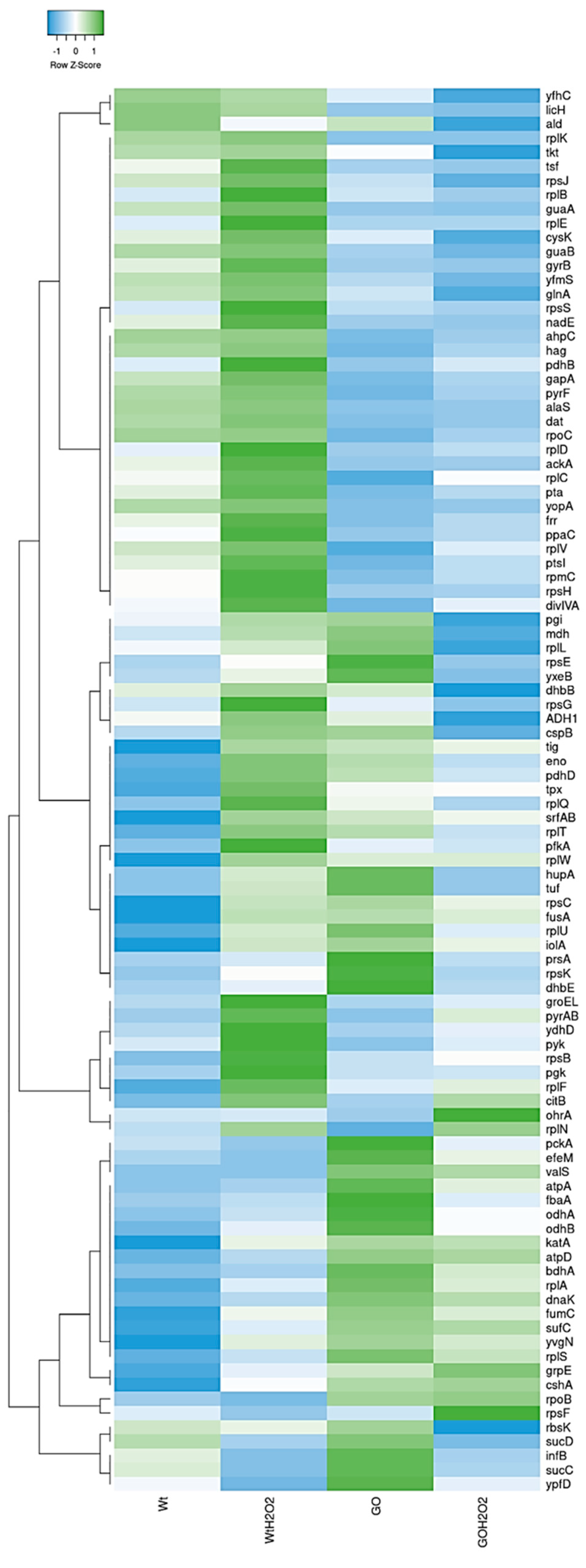 Antioxidants 13 00332 g003