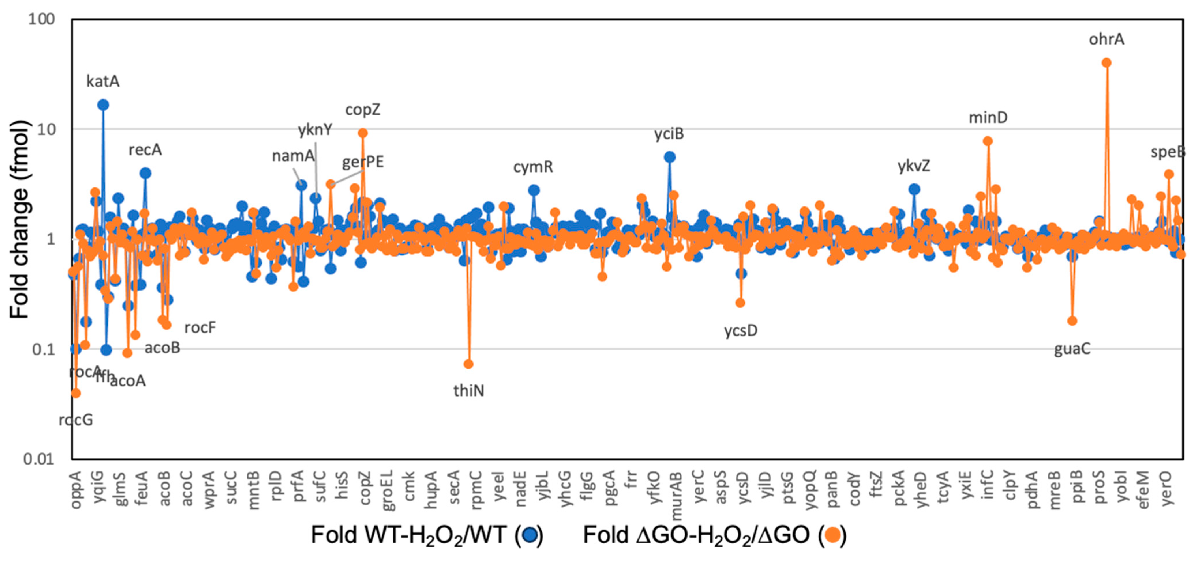Antioxidants 13 00332 g005