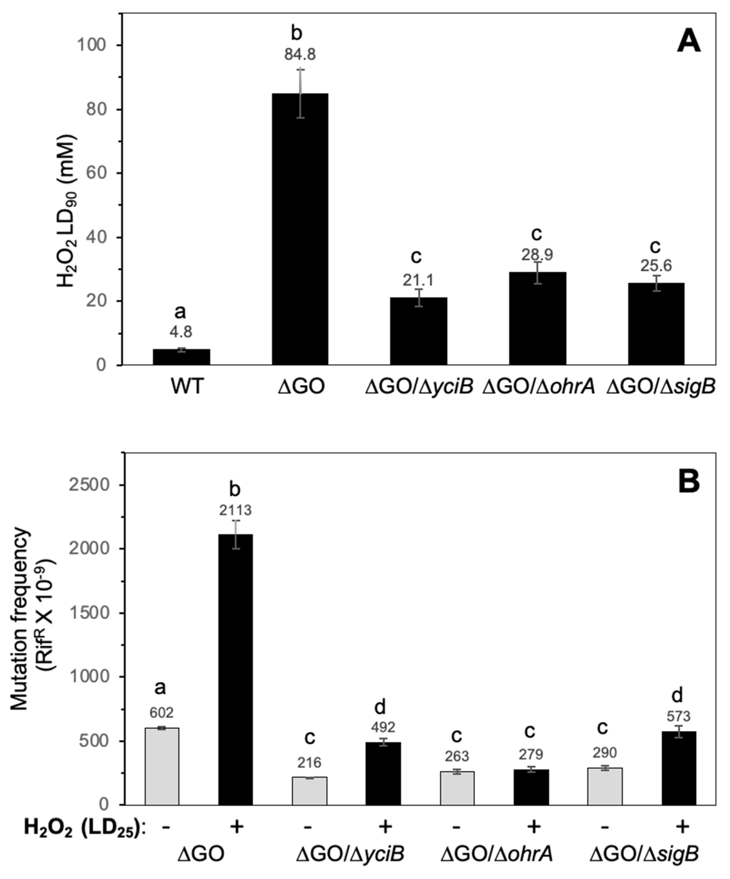 Antioxidants 13 00332 g006