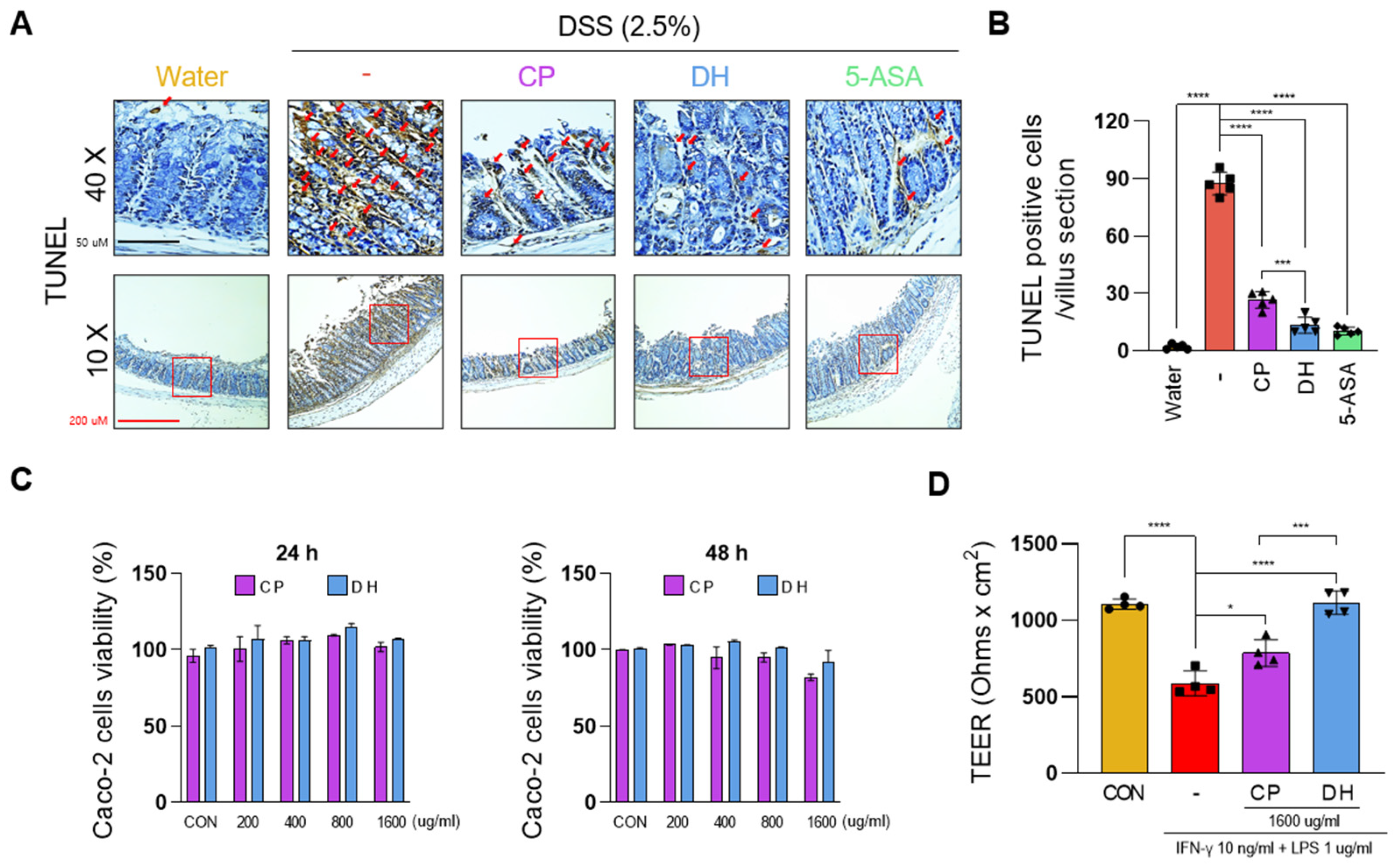 Antioxidants 13 00340 g002