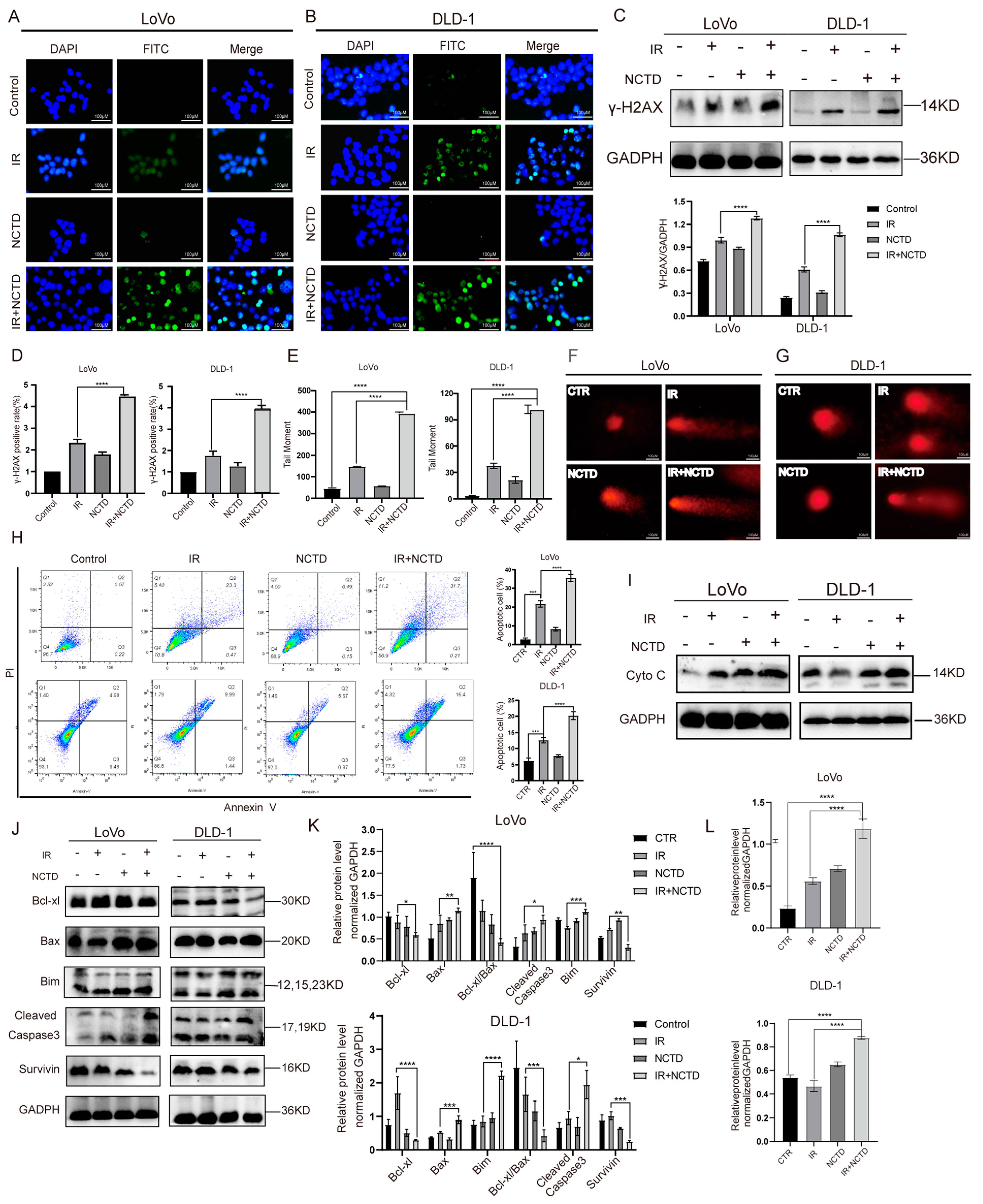 Antioxidants 13 00347 g002 Antioxidants 13 00347 g002