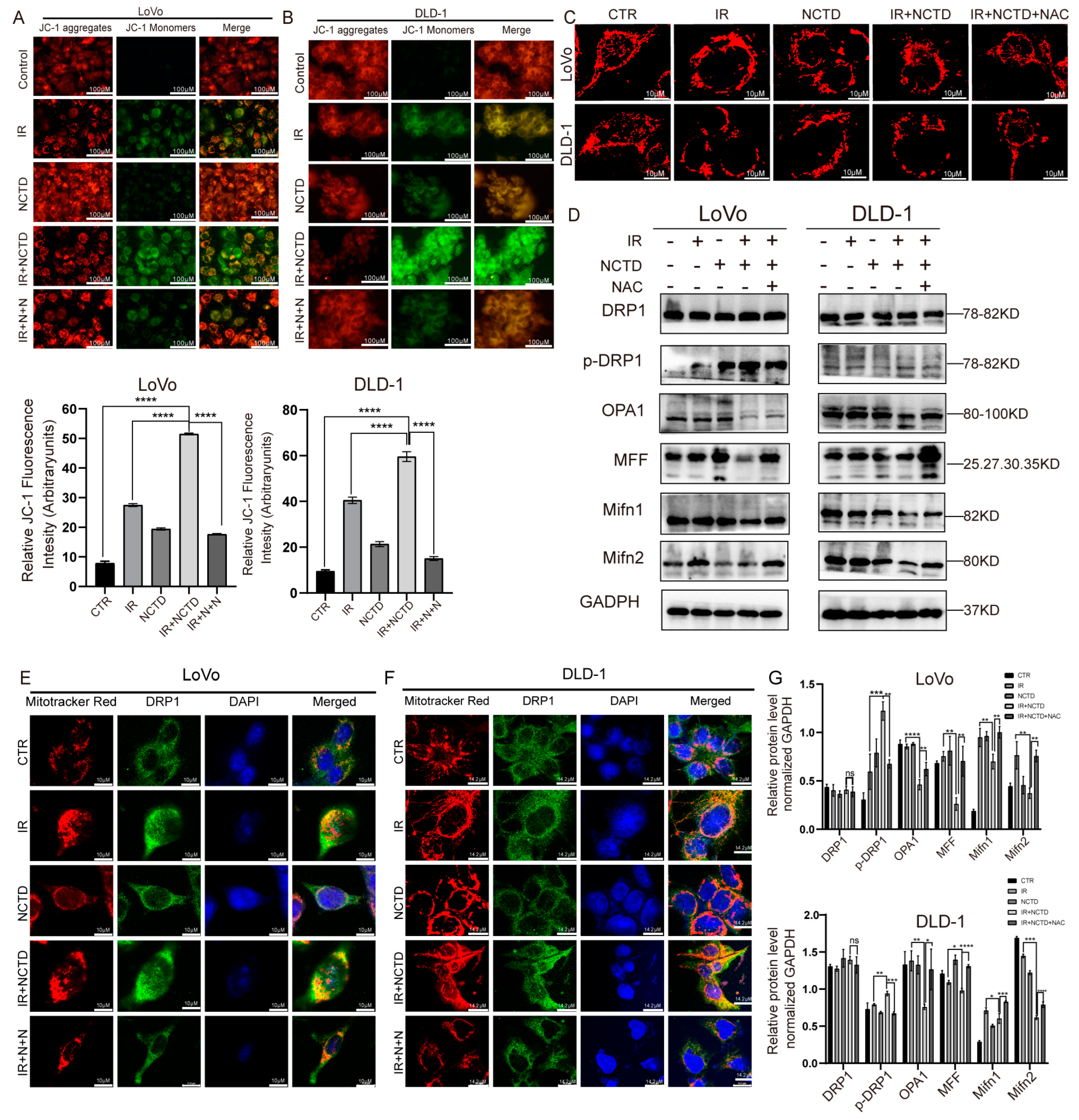 Antioxidants 13 00347 g006 Antioxidants 13 00347 g006