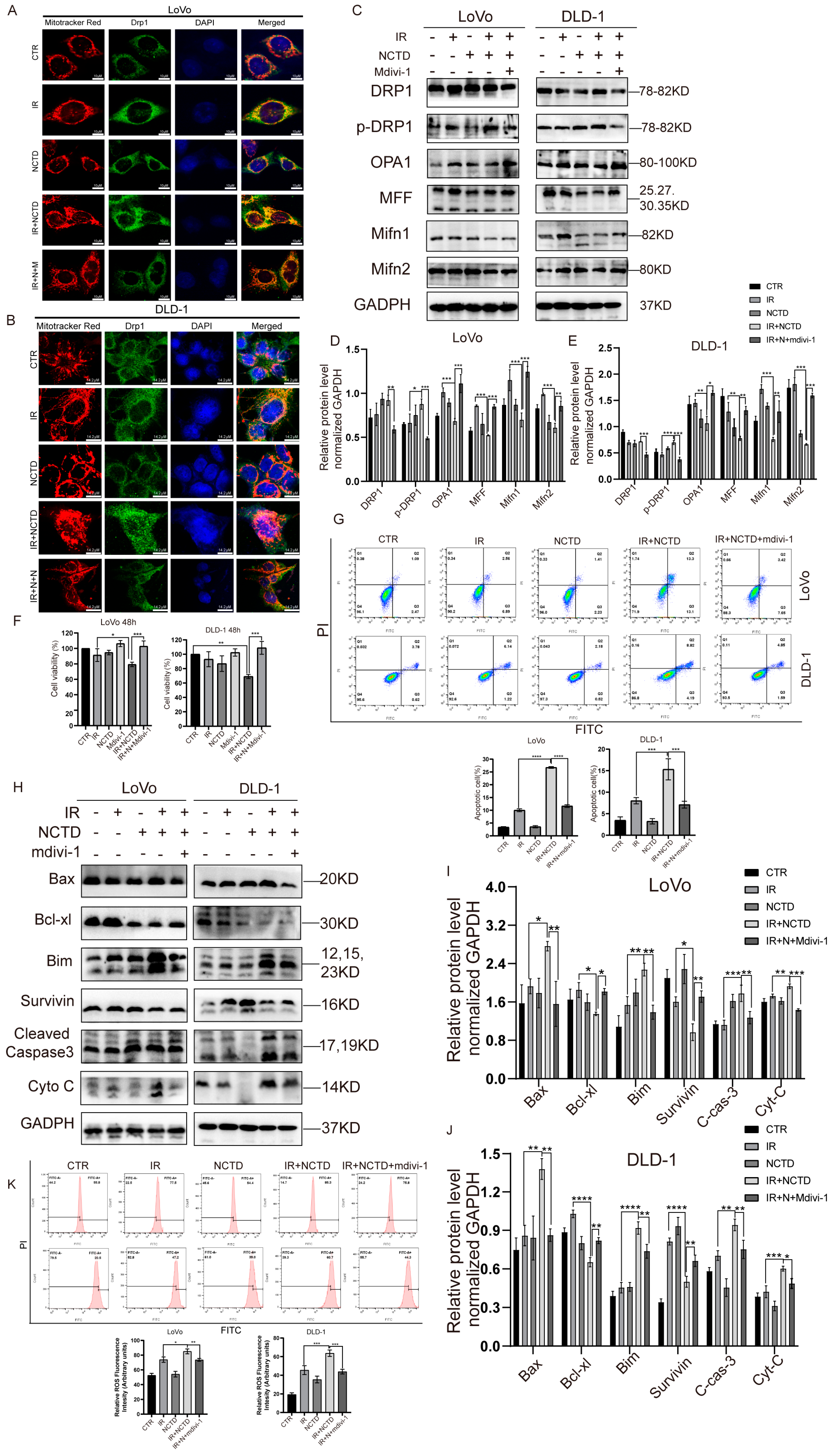Antioxidants 13 00347 g007 Antioxidants 13 00347 g007