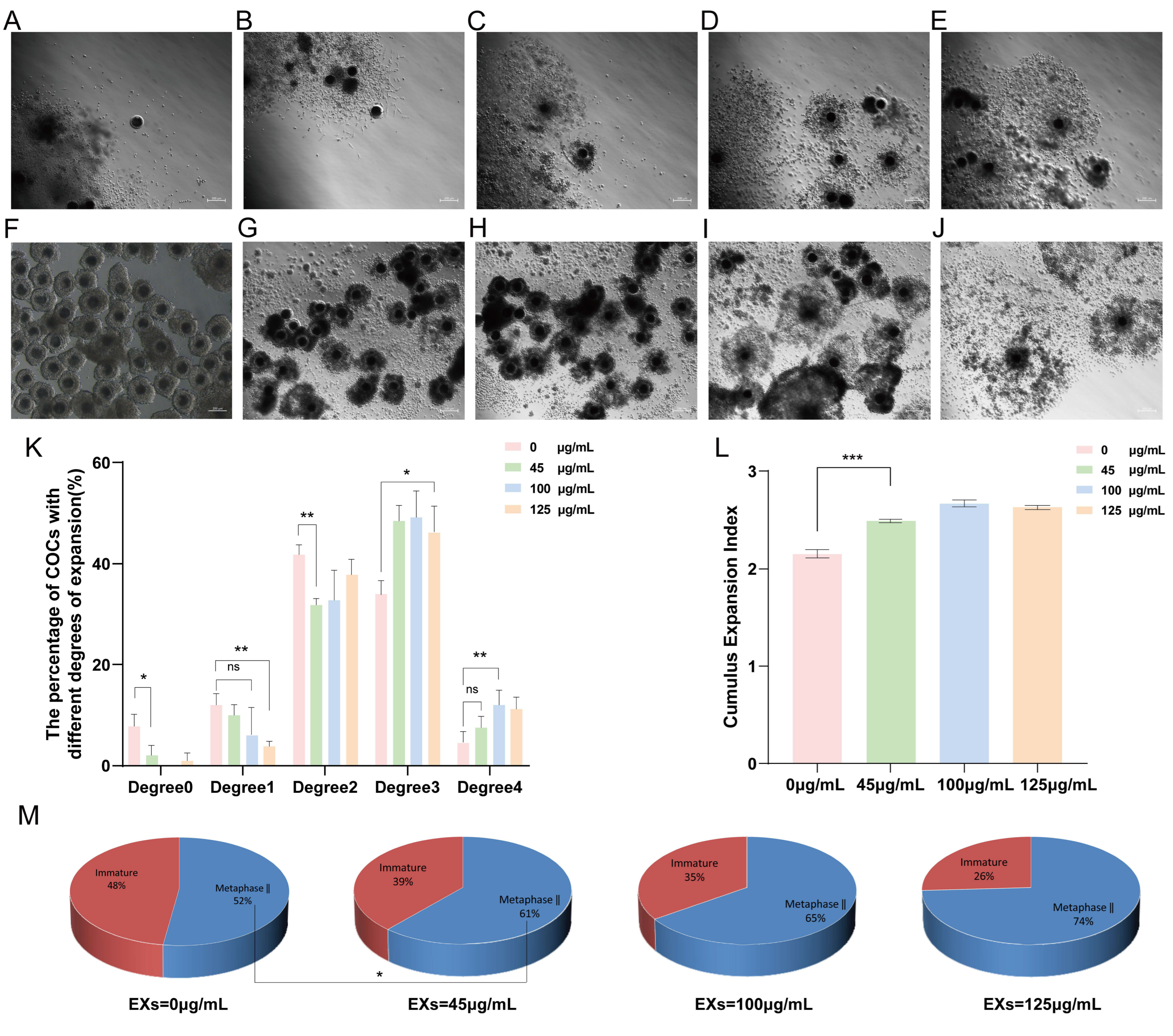 Antioxidants 13 00348 g003