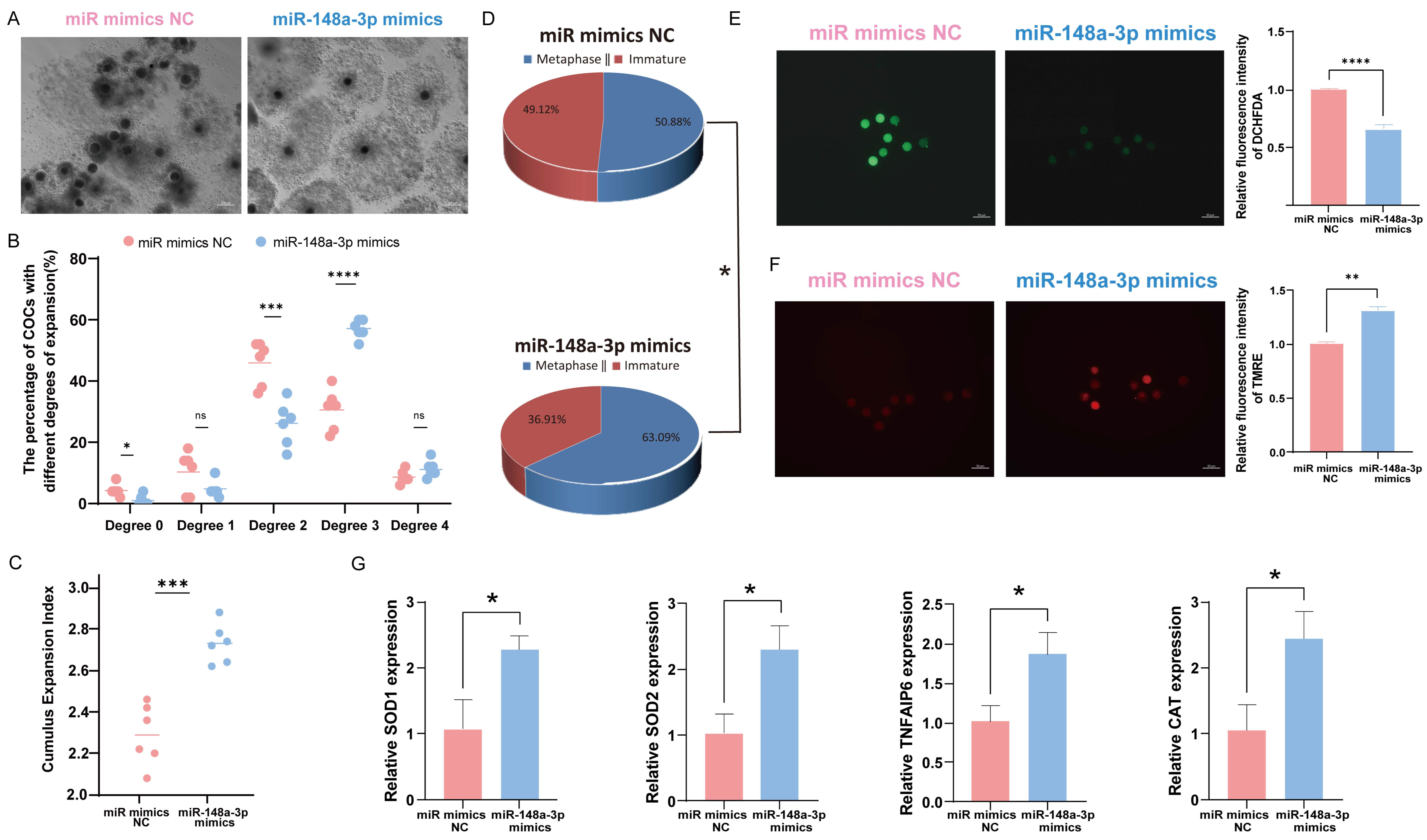 Antioxidants 13 00348 g006