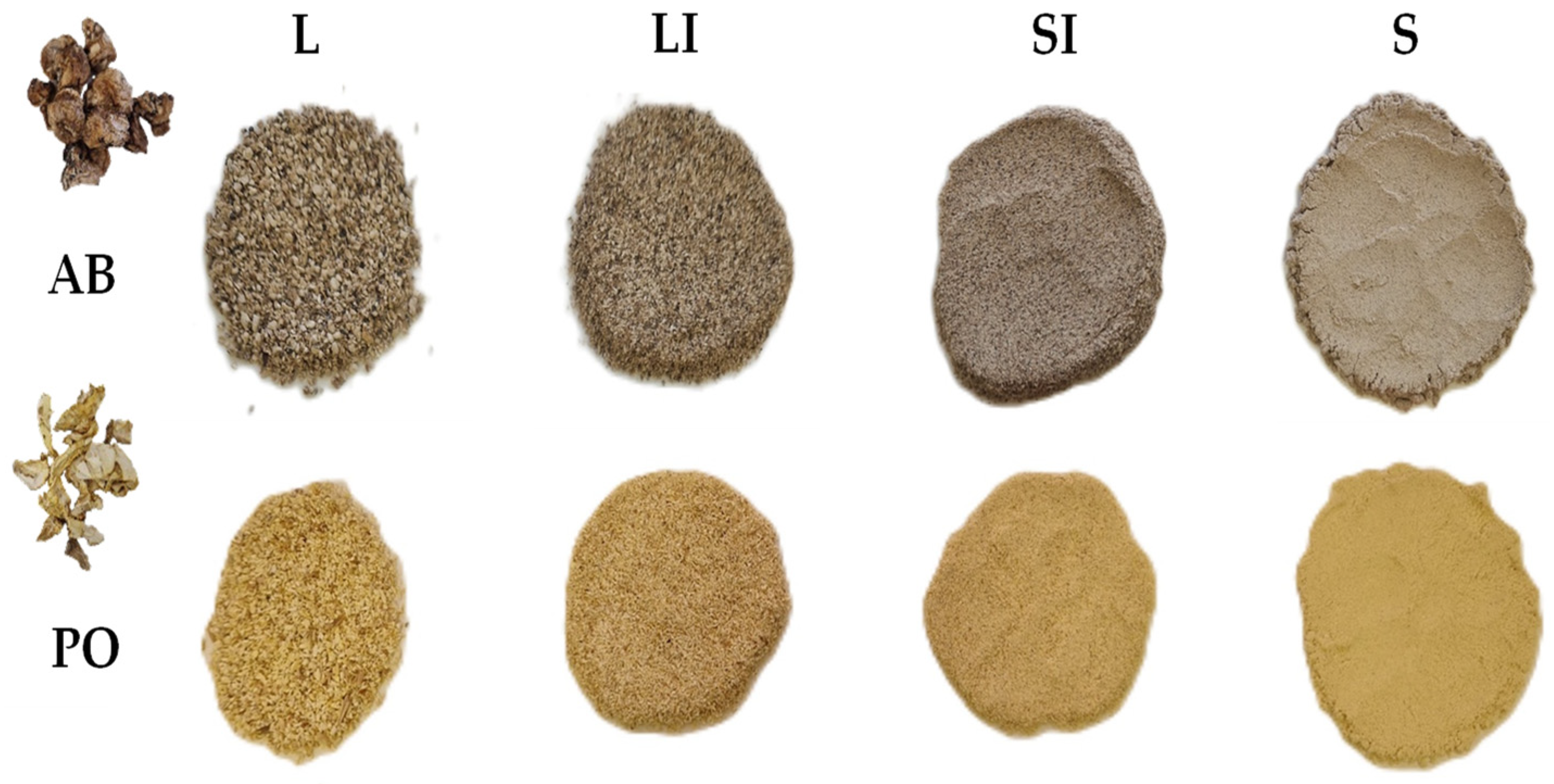 Antioxidants 13 00349 g001 Antioxidants 13 00349 g001