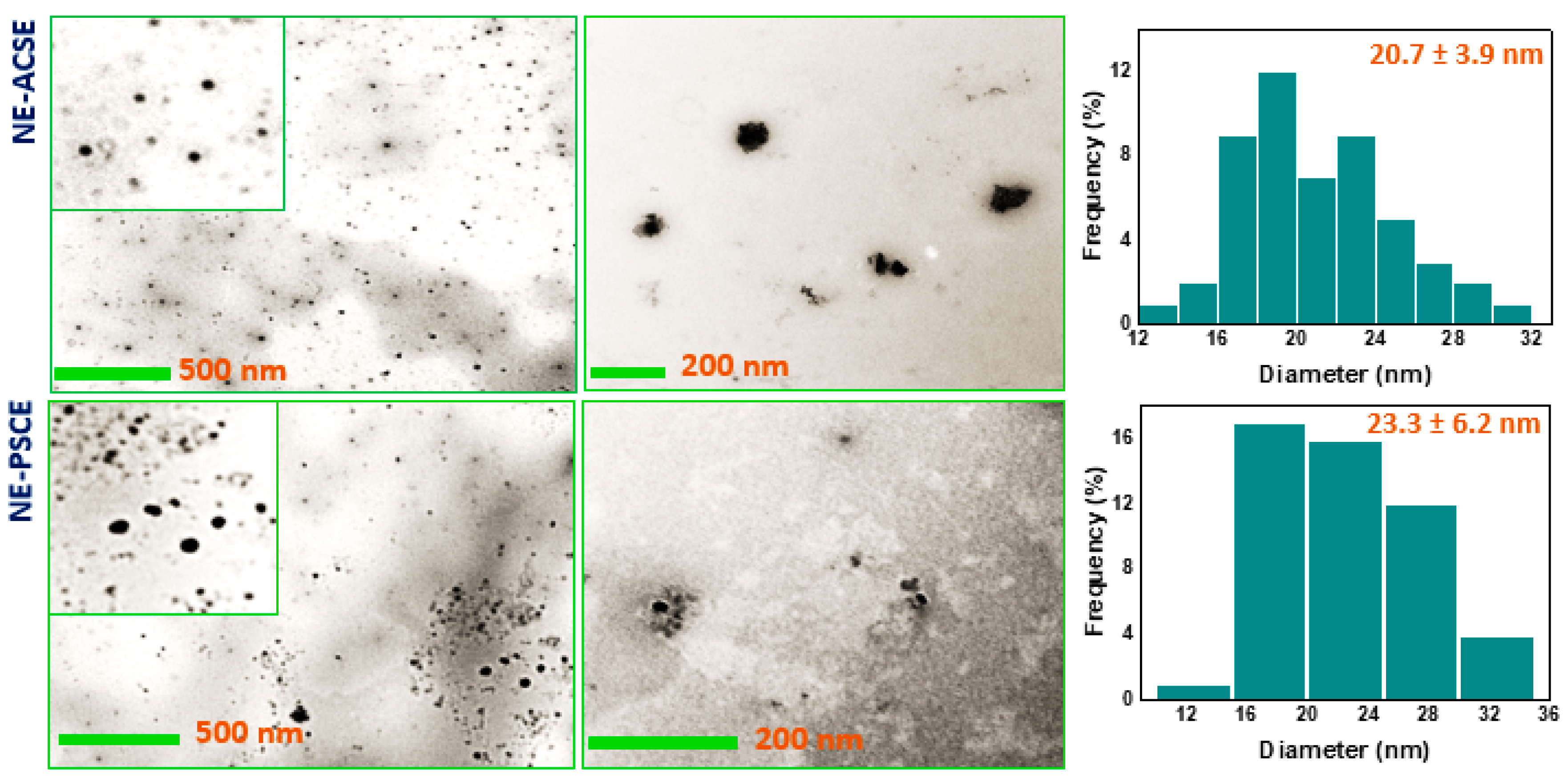 Antioxidants 13 00355 g001
