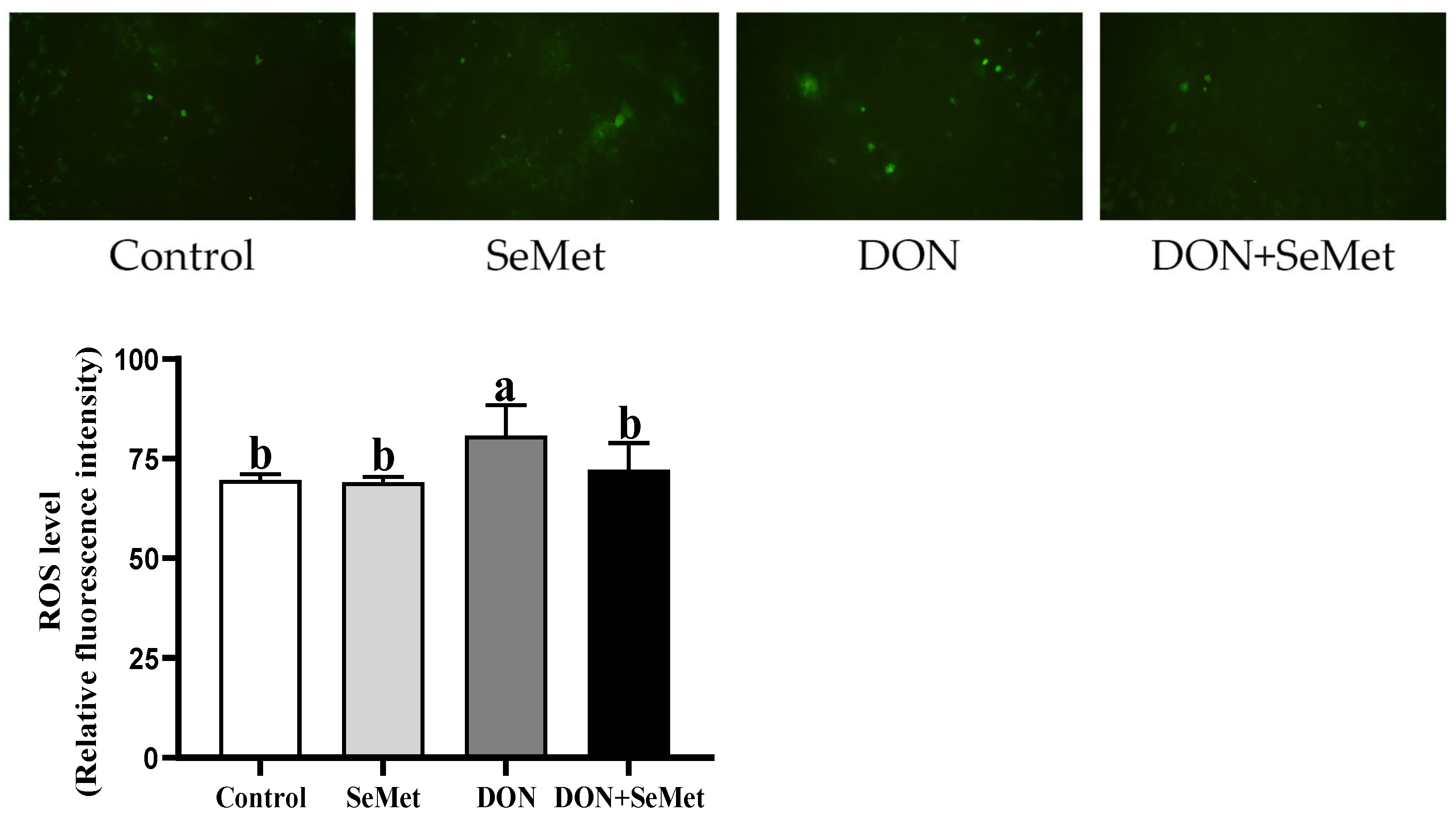 Antioxidants 13 00356 g005