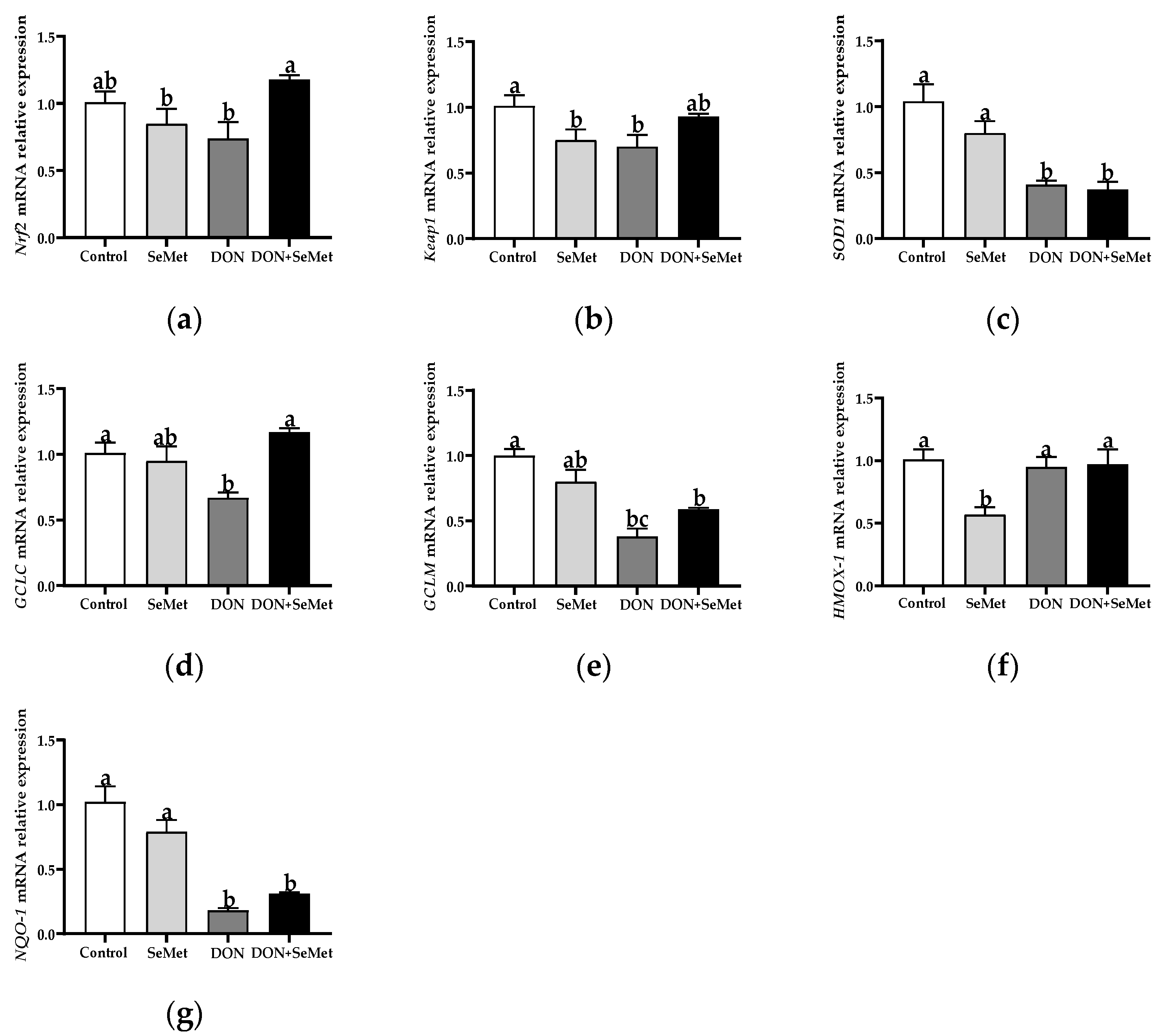 Antioxidants 13 00356 g007