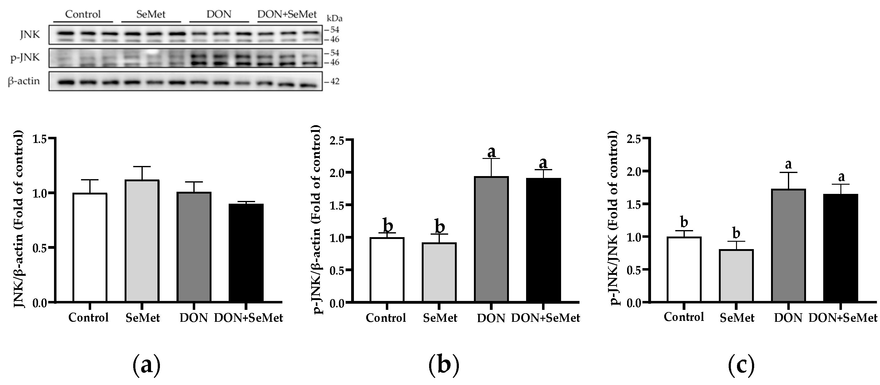Antioxidants 13 00356 g009