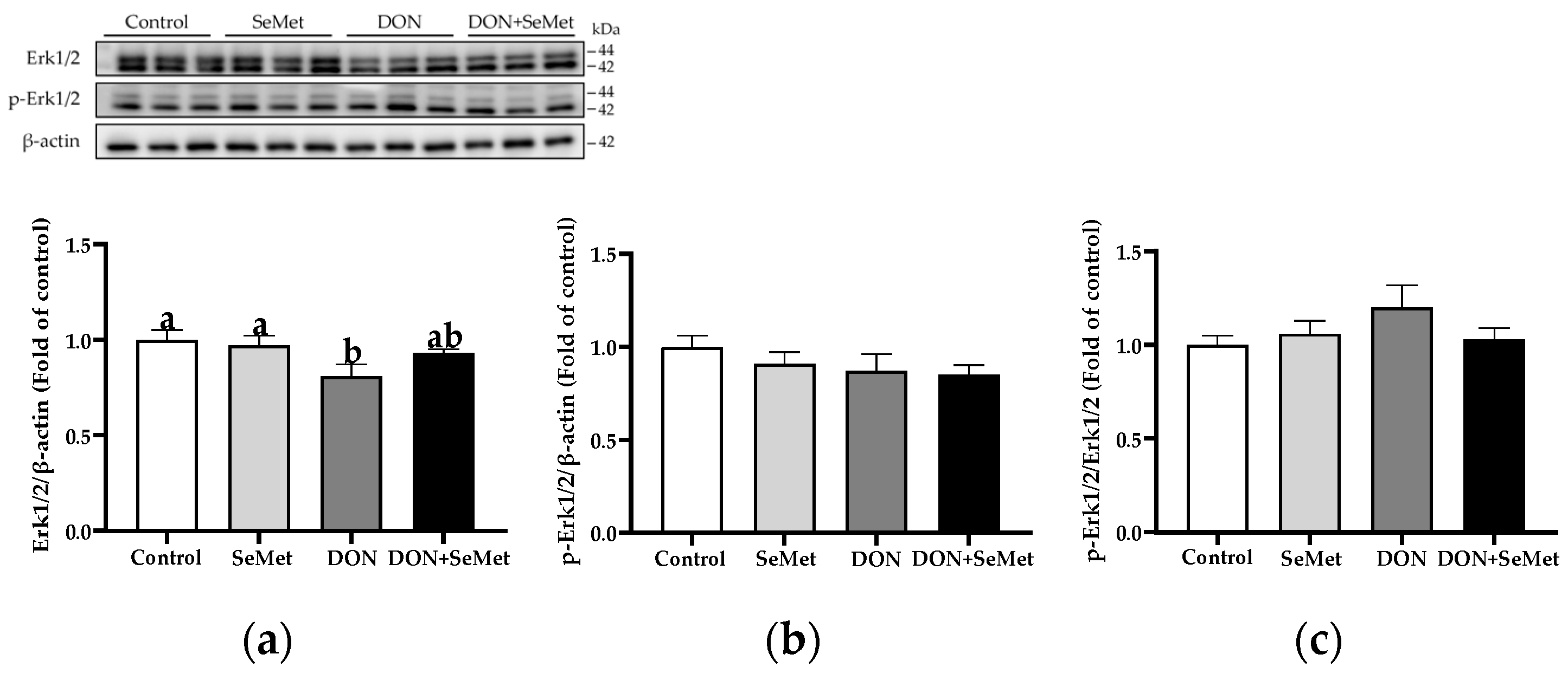 Antioxidants 13 00356 g010