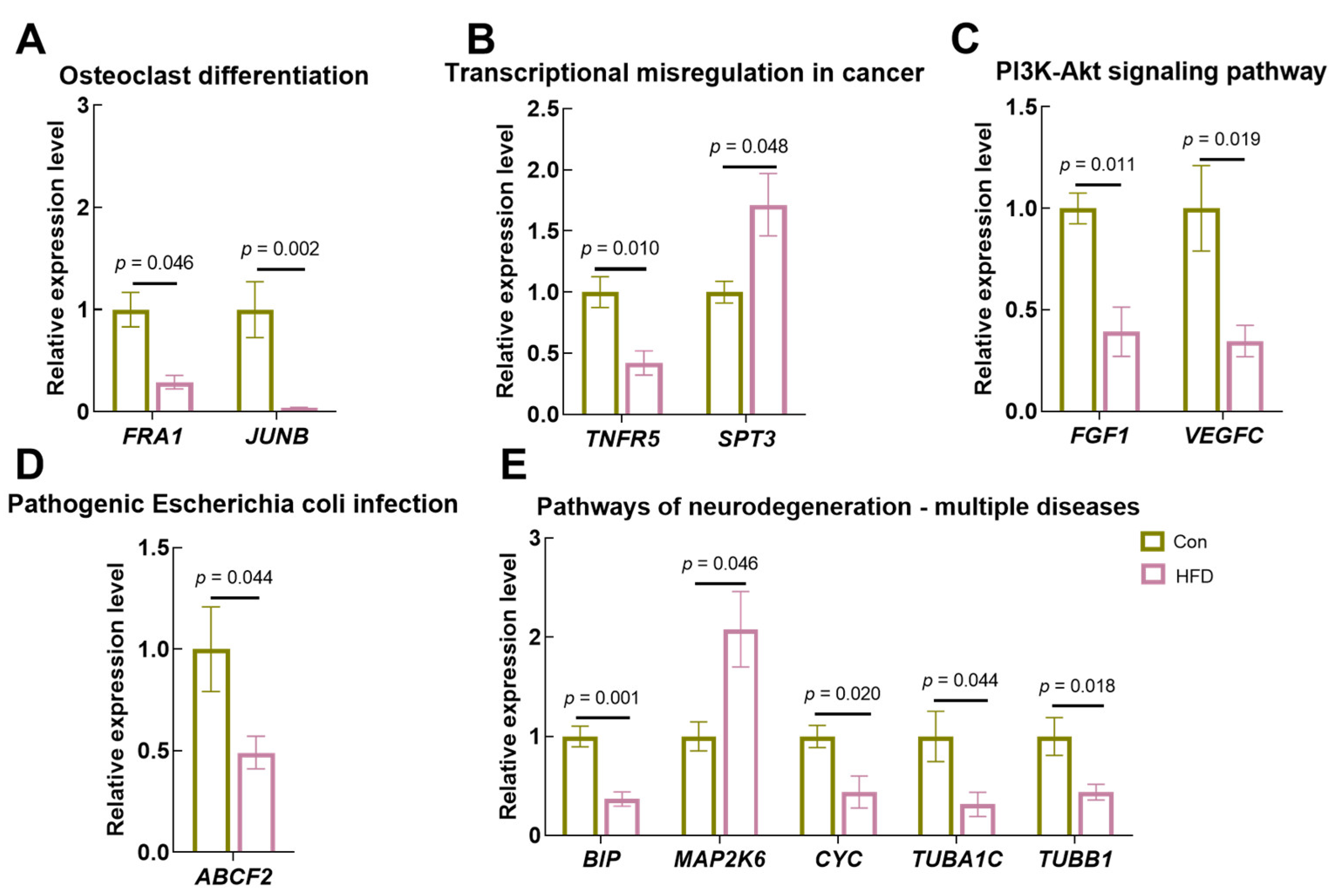 Antioxidants 13 00363 g009