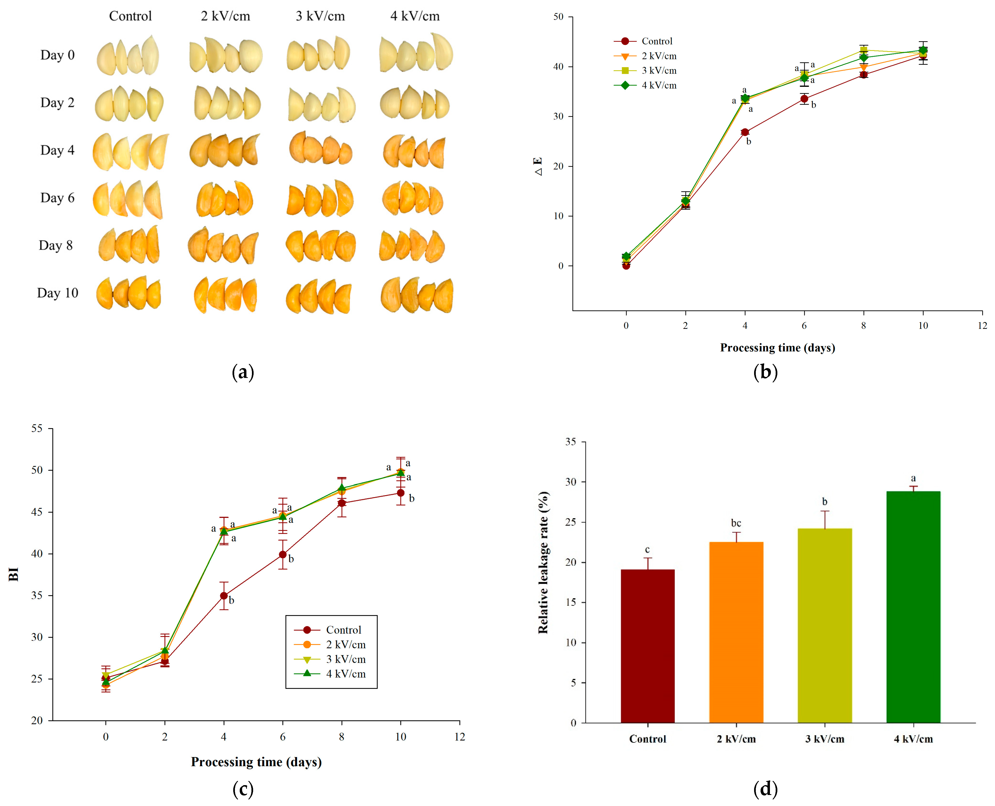 Antioxidants 13 00374 g001 Antioxidants 13 00374 g001