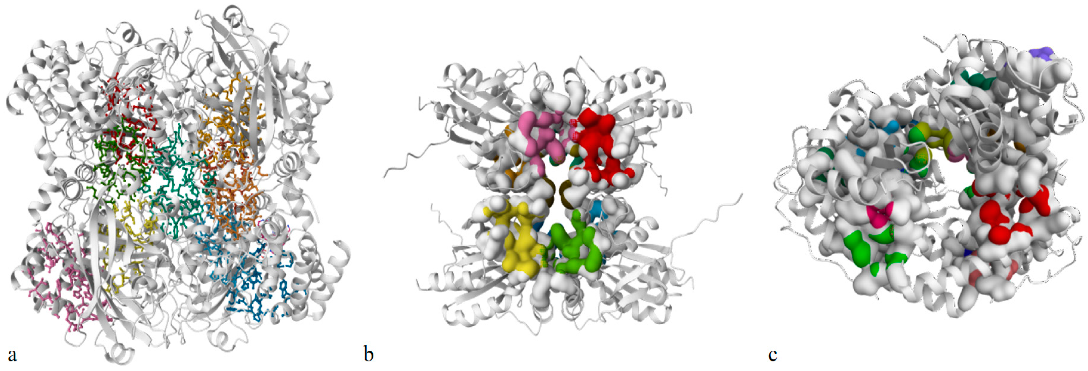 Antioxidants 13 00376 g003