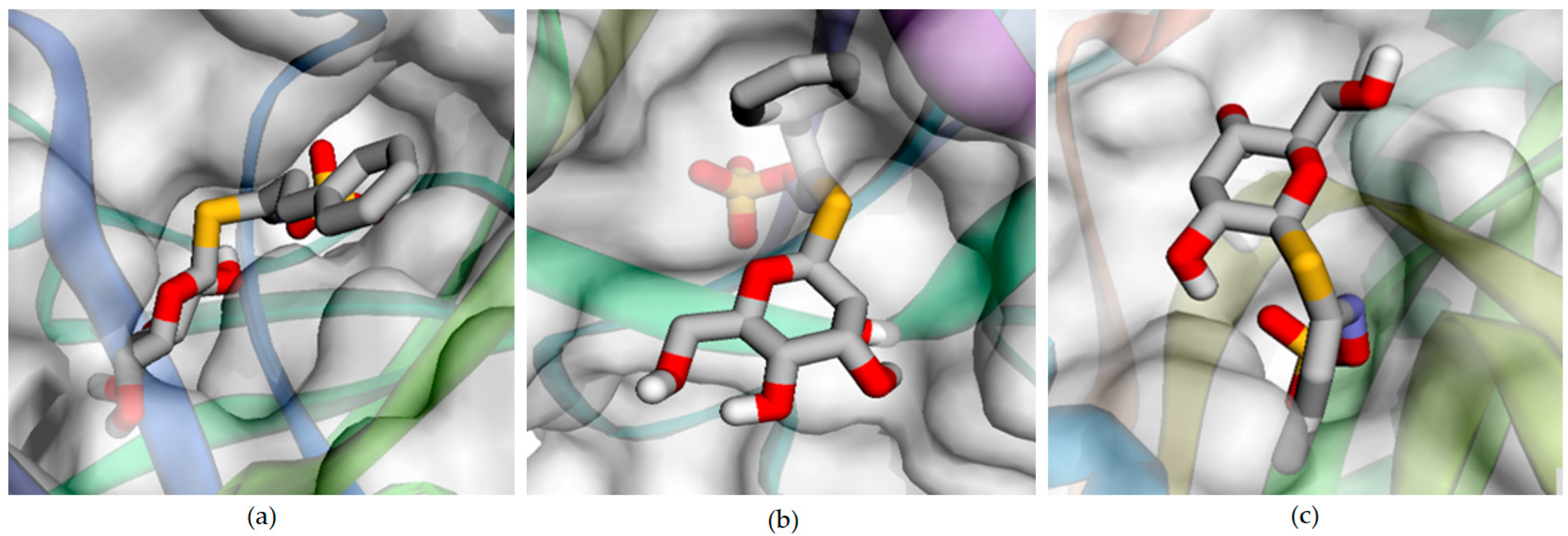 Antioxidants 13 00376 g004