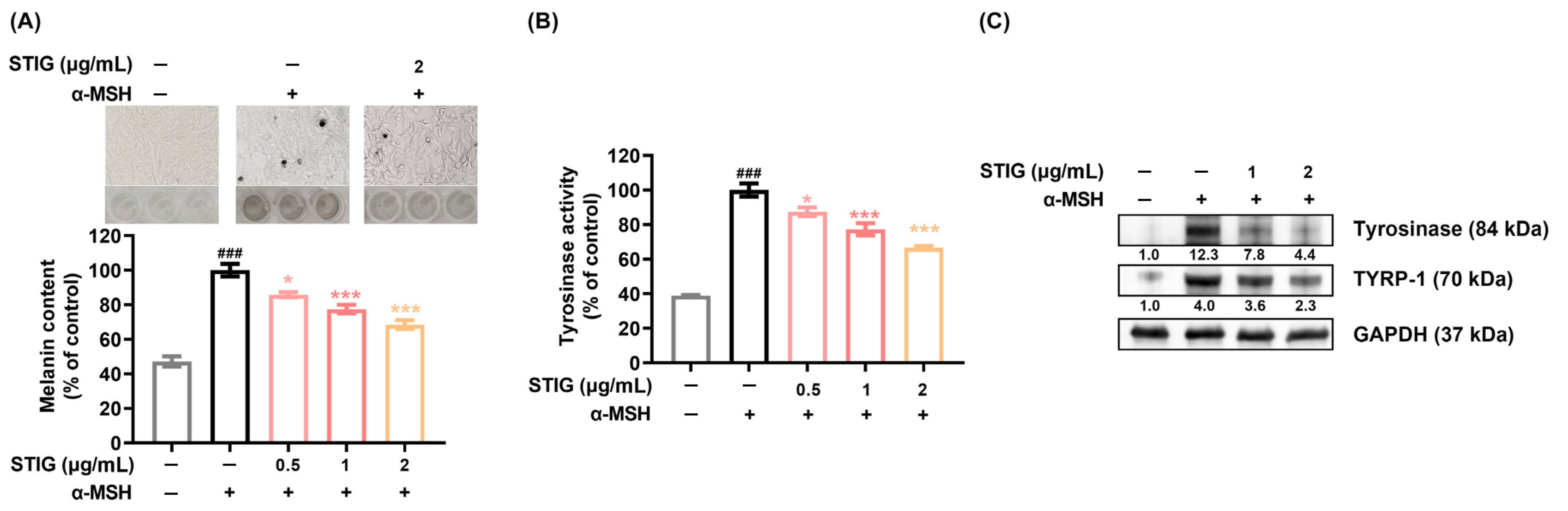 Antioxidants 13 00380 g002