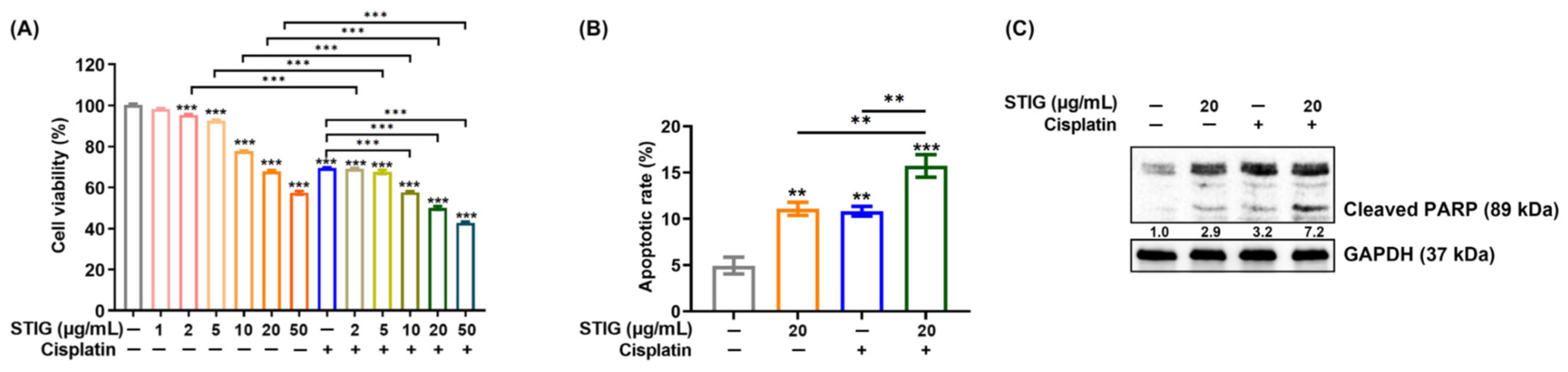 Antioxidants 13 00380 g004