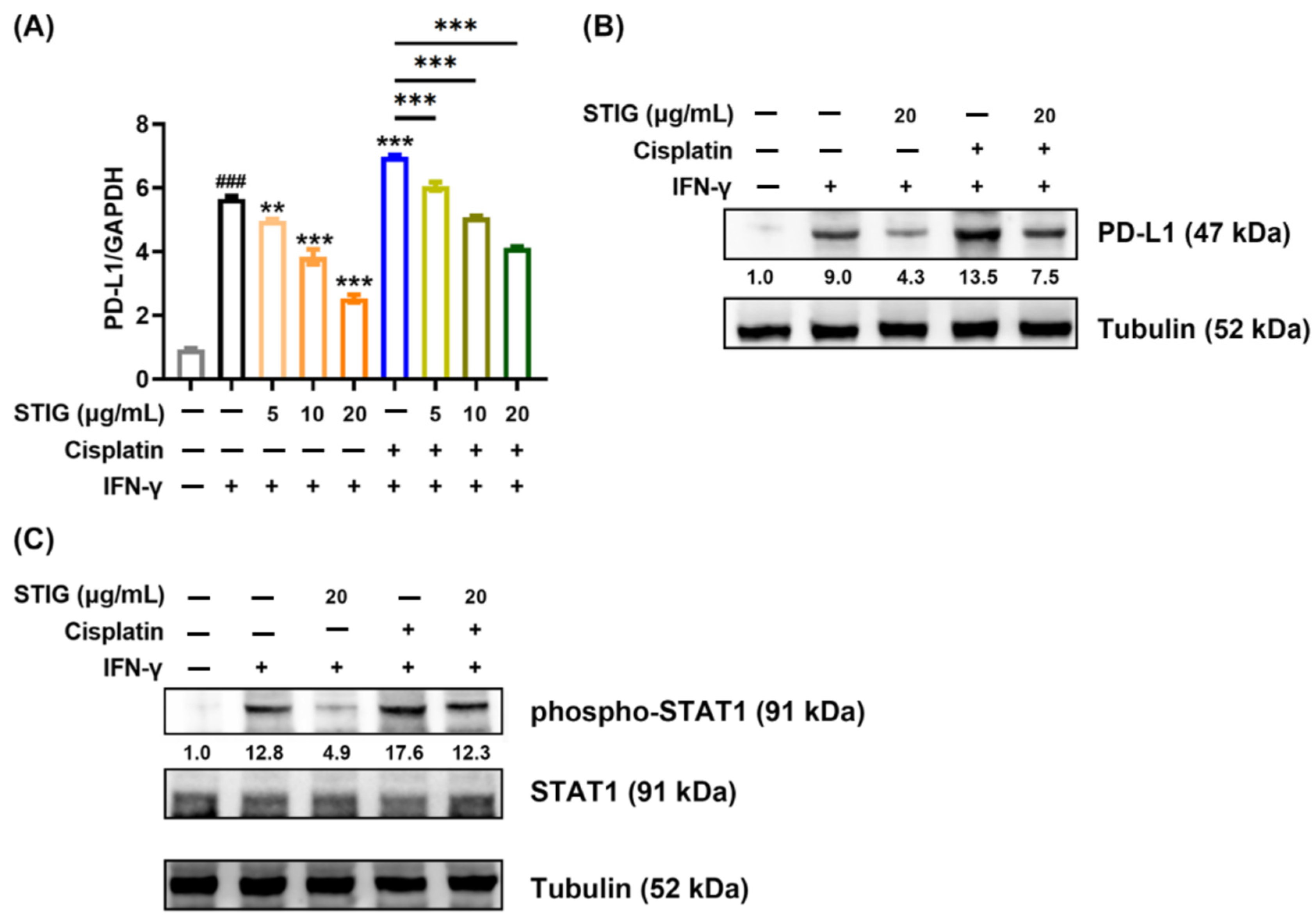 Antioxidants 13 00380 g006