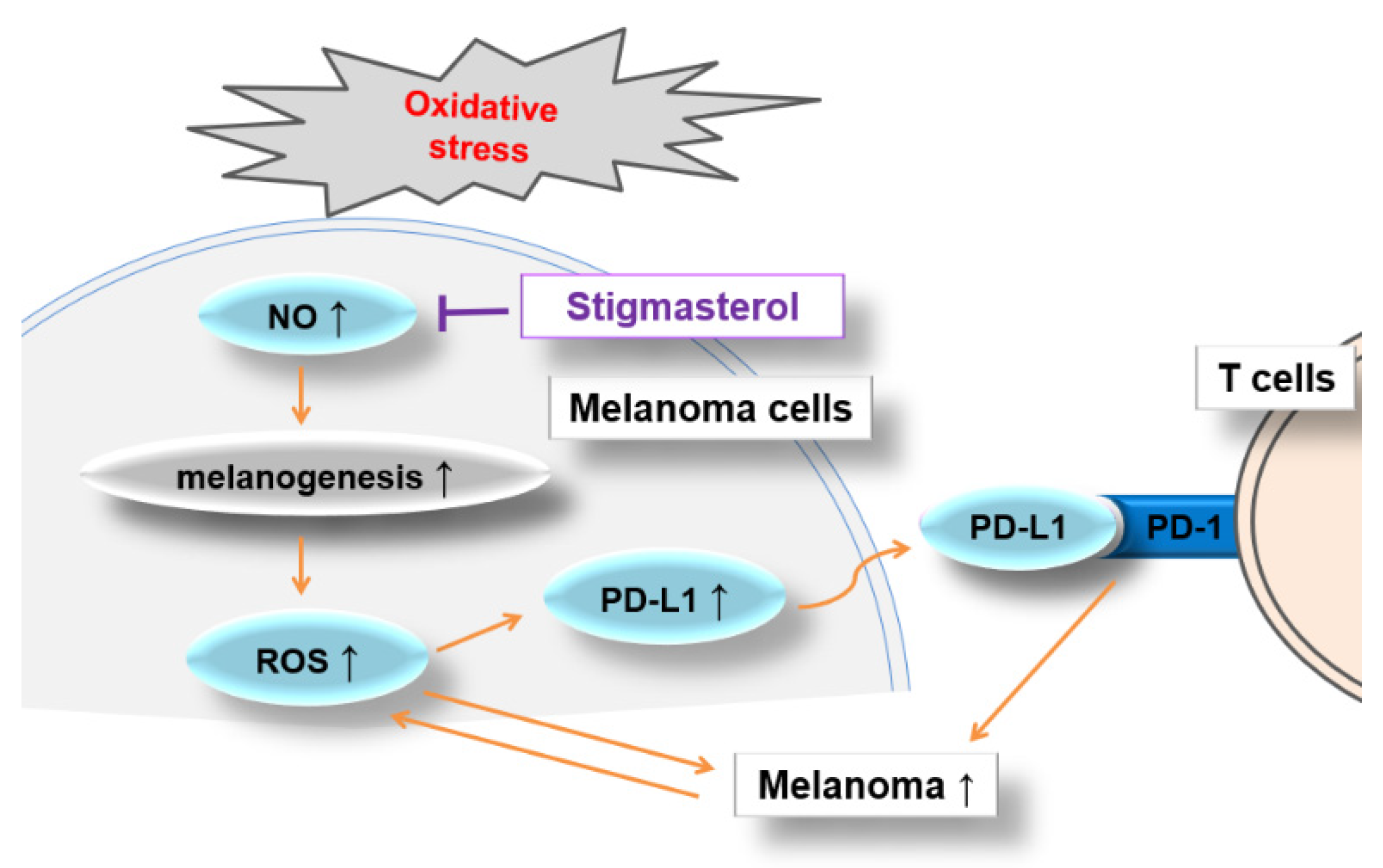 Antioxidants 13 00380 g008