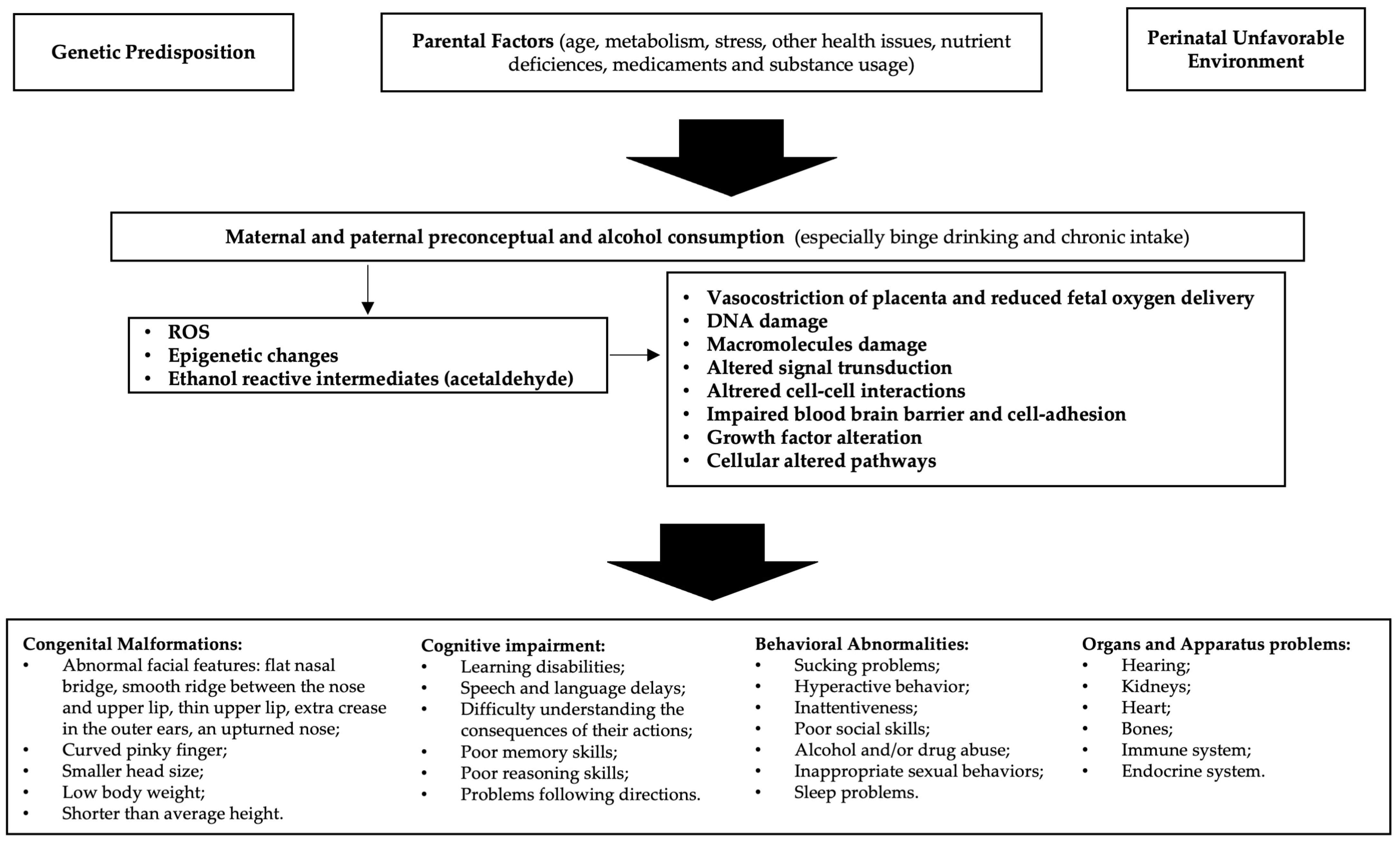 Antioxidants | Free Full-Text | The Impact of Oxidative Stress on the  Epigenetics of Fetal Alcohol Spectrum Disorders