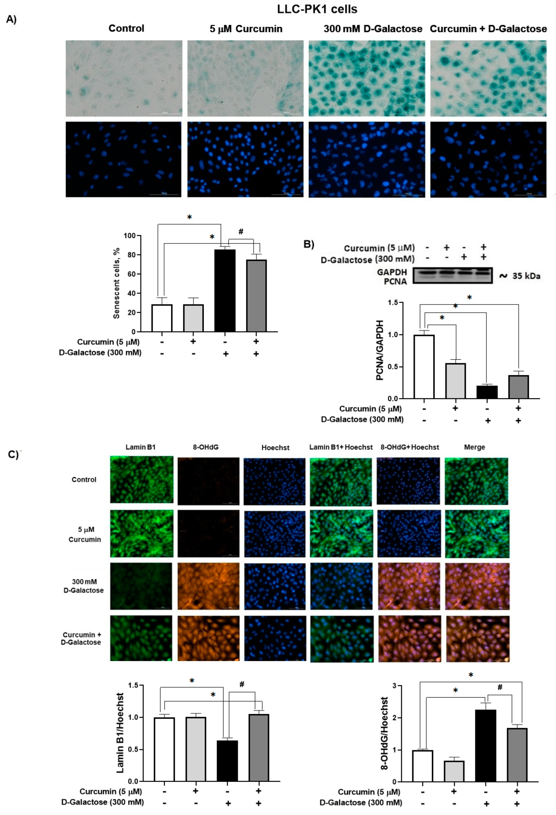 Antioxidants 13 00415 g006