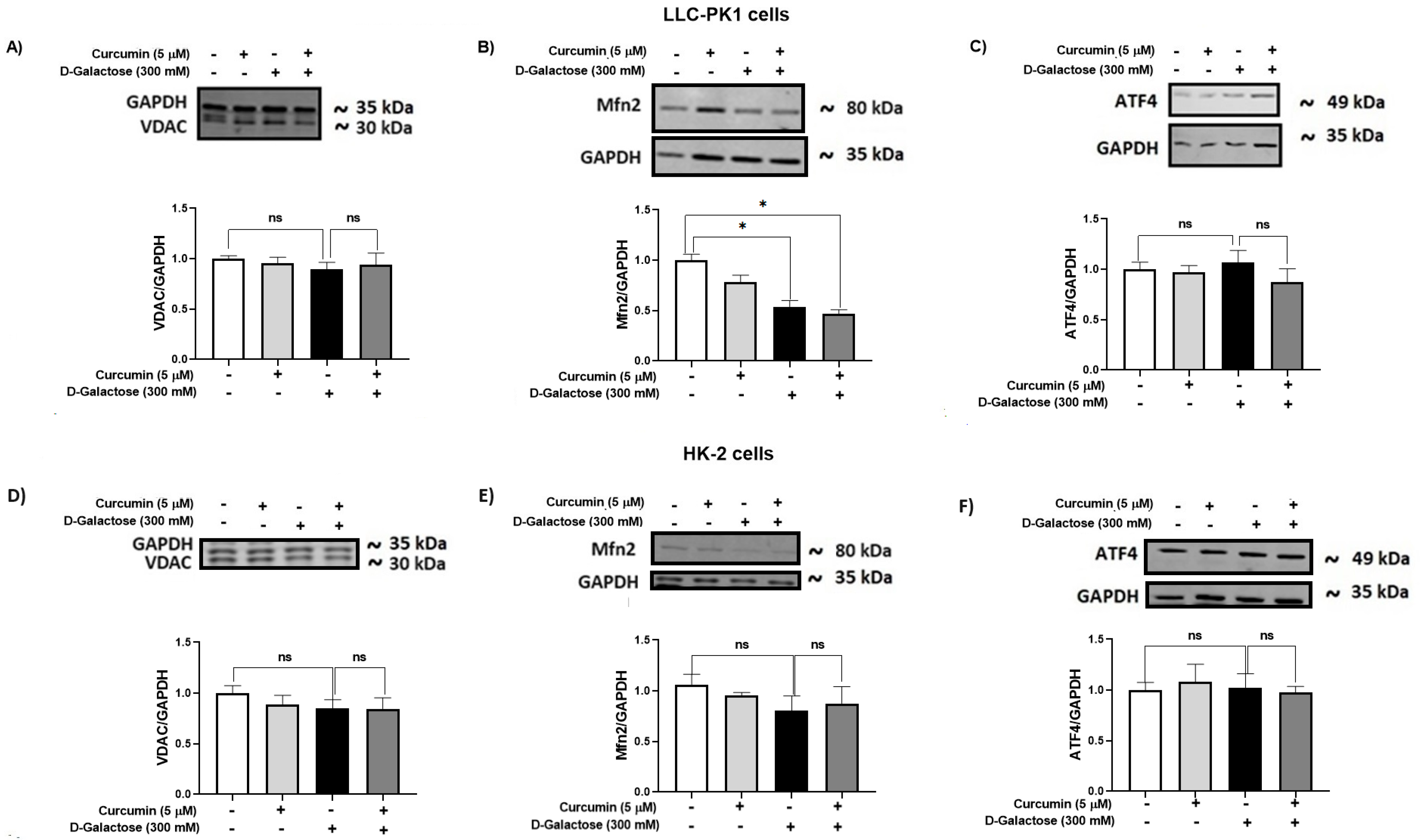 Antioxidants 13 00415 g009