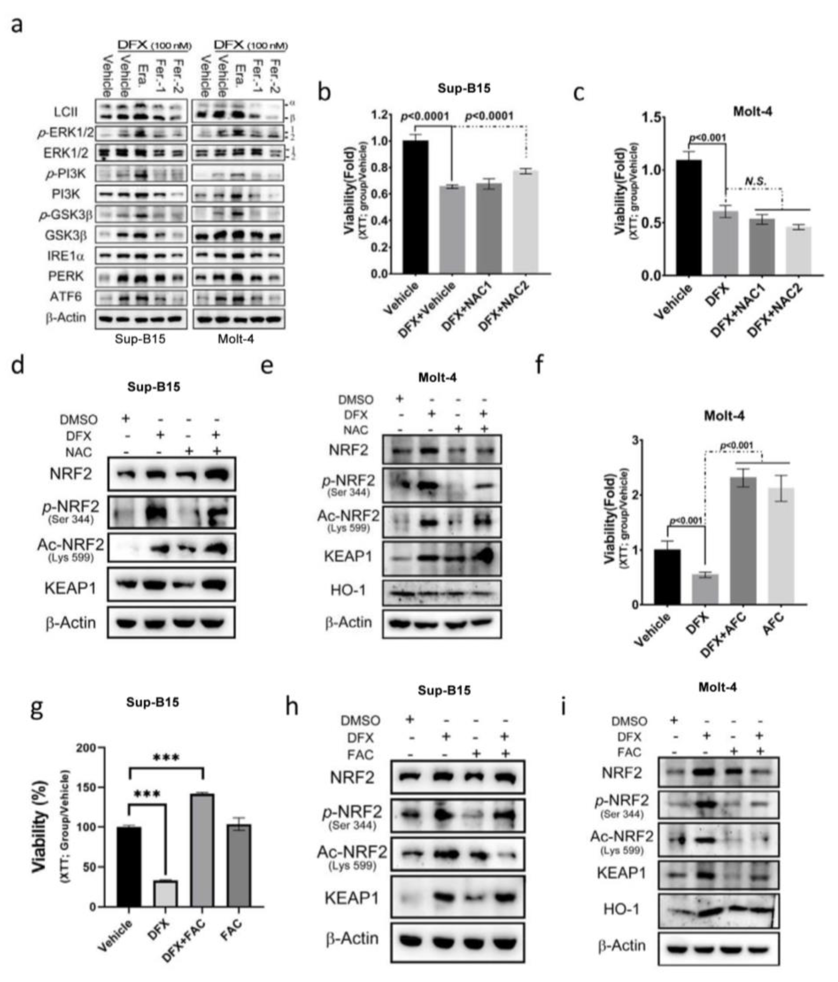 Antioxidants 13 00424 g004