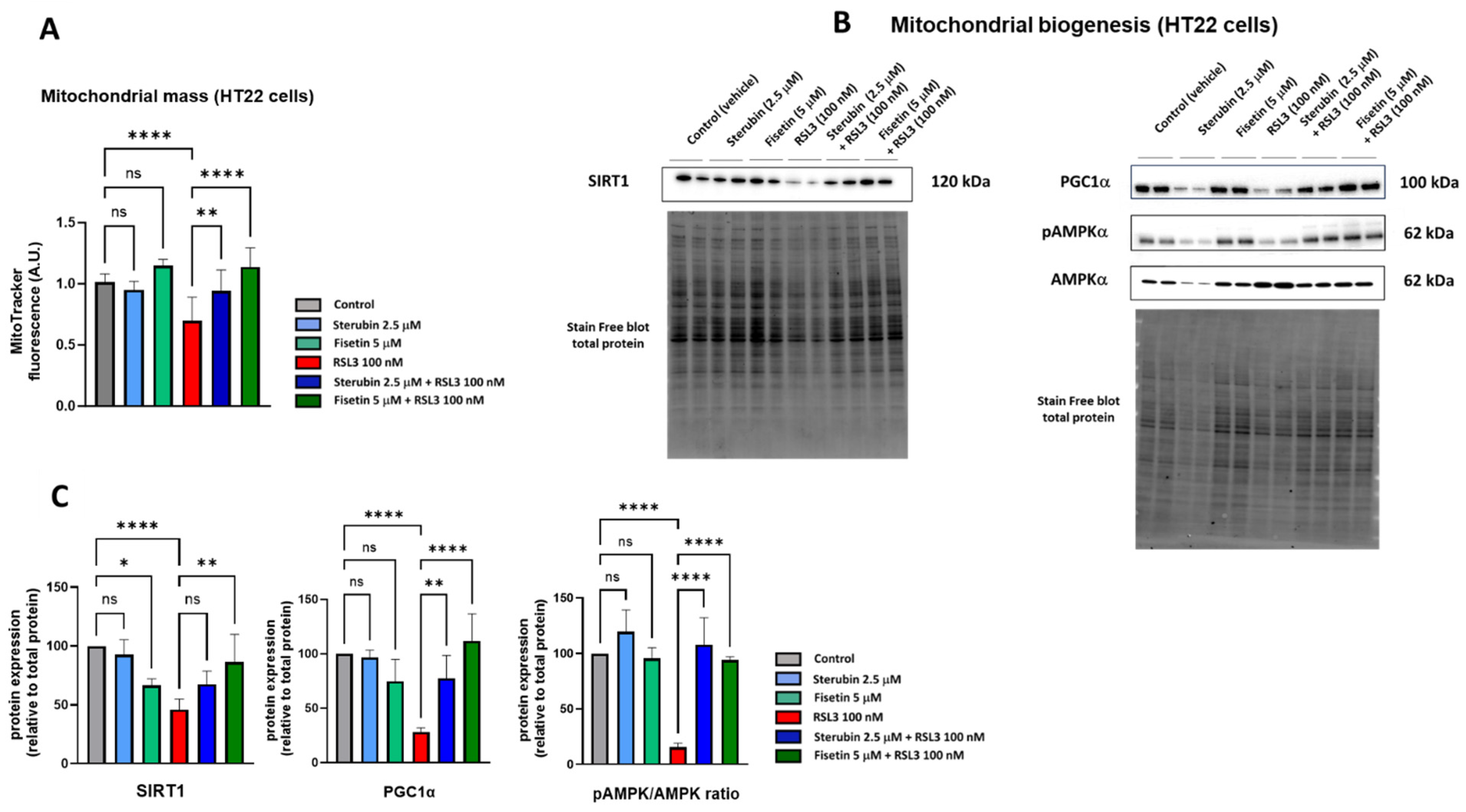 Antioxidants 13 00460 g004