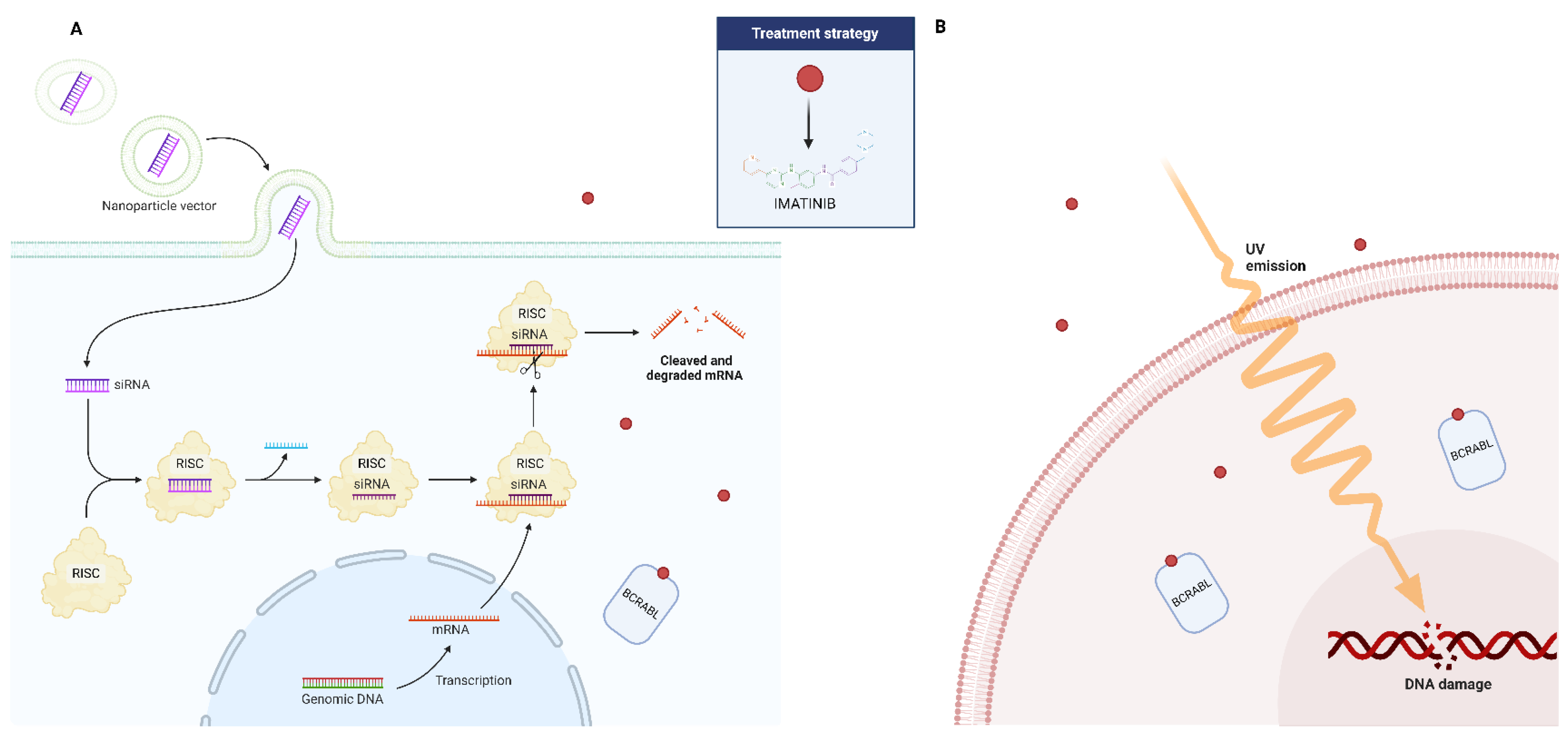Antioxidants 13 00461 g003