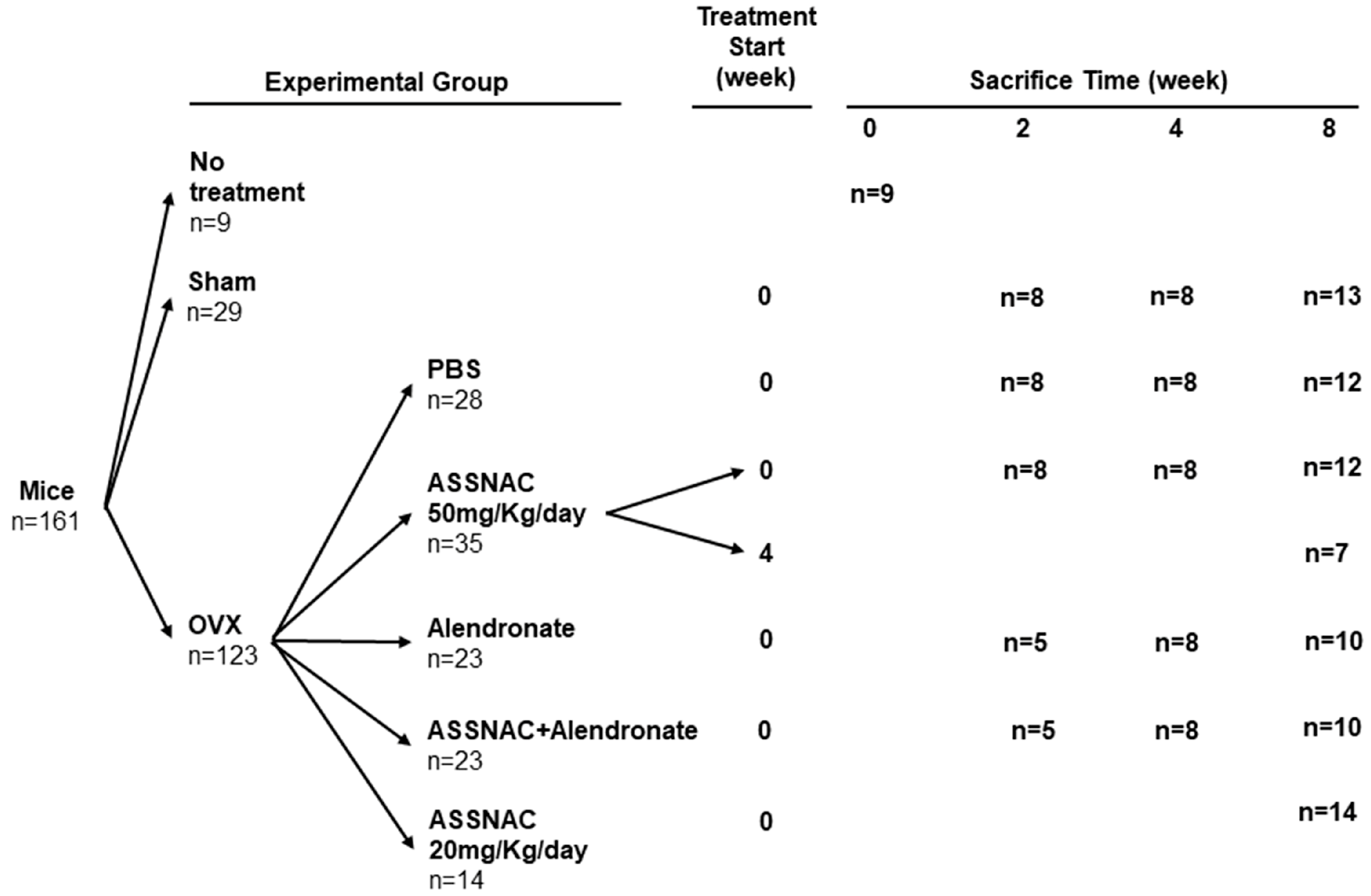 Antioxidants 13 00474 g001