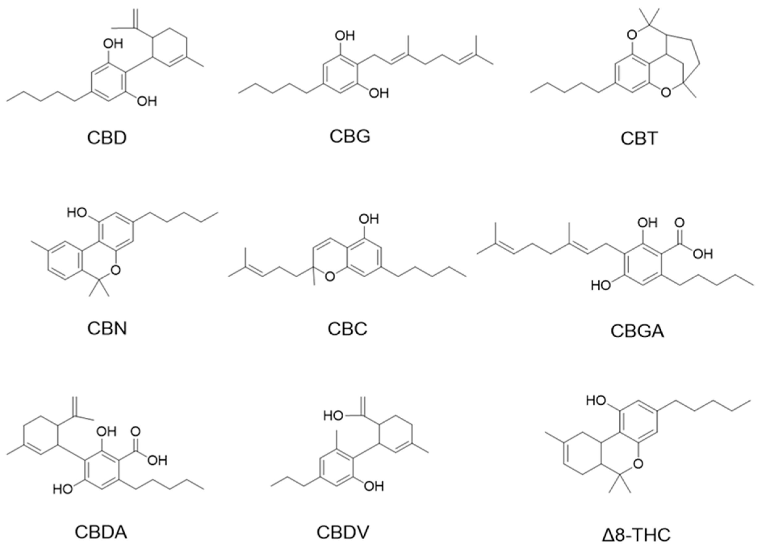 Antioxidants 13 00478 g001