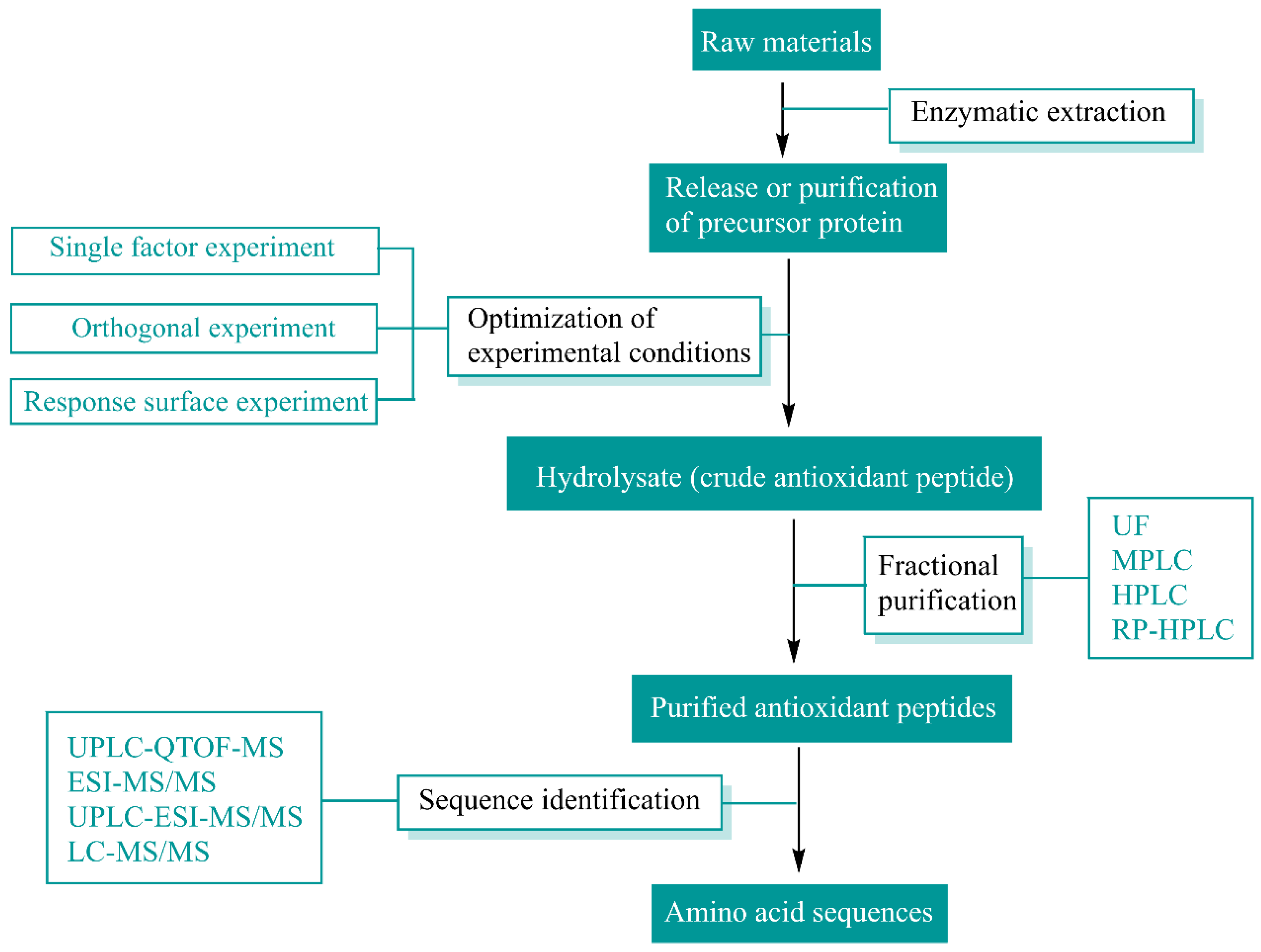 Antioxidants 13 00479 g002