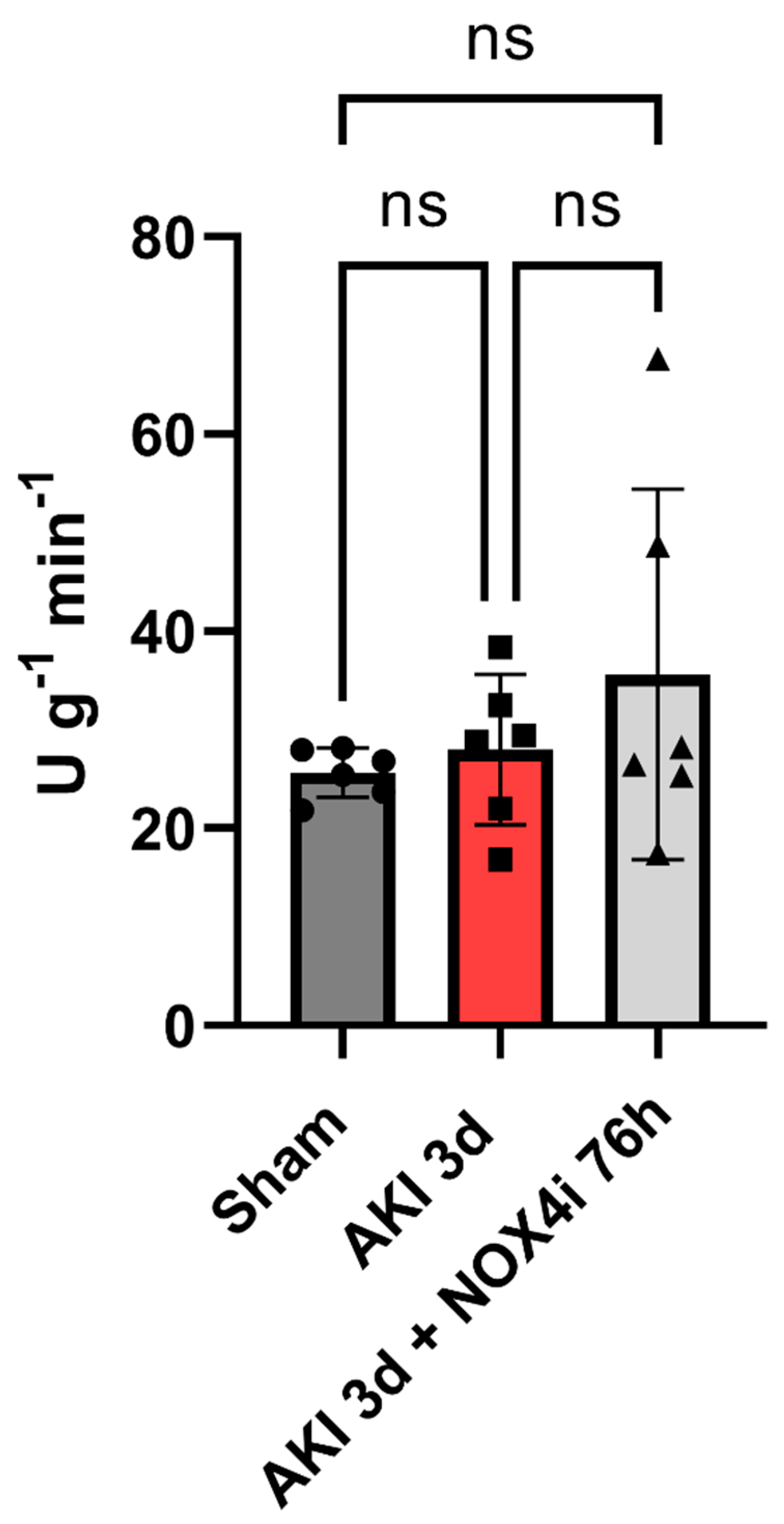 Antioxidants 13 00489 g006