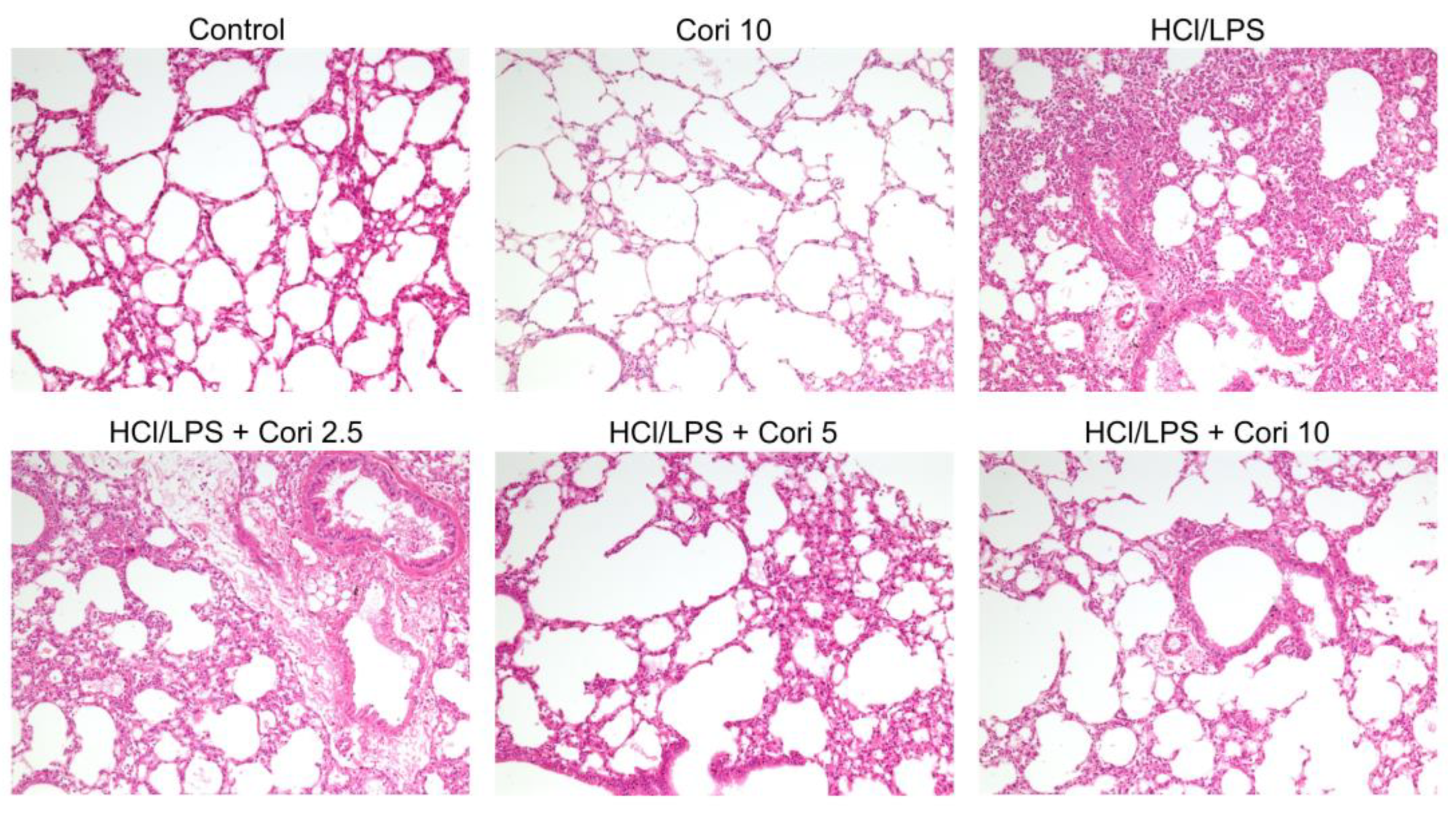 Antioxidants 13 00491 g002