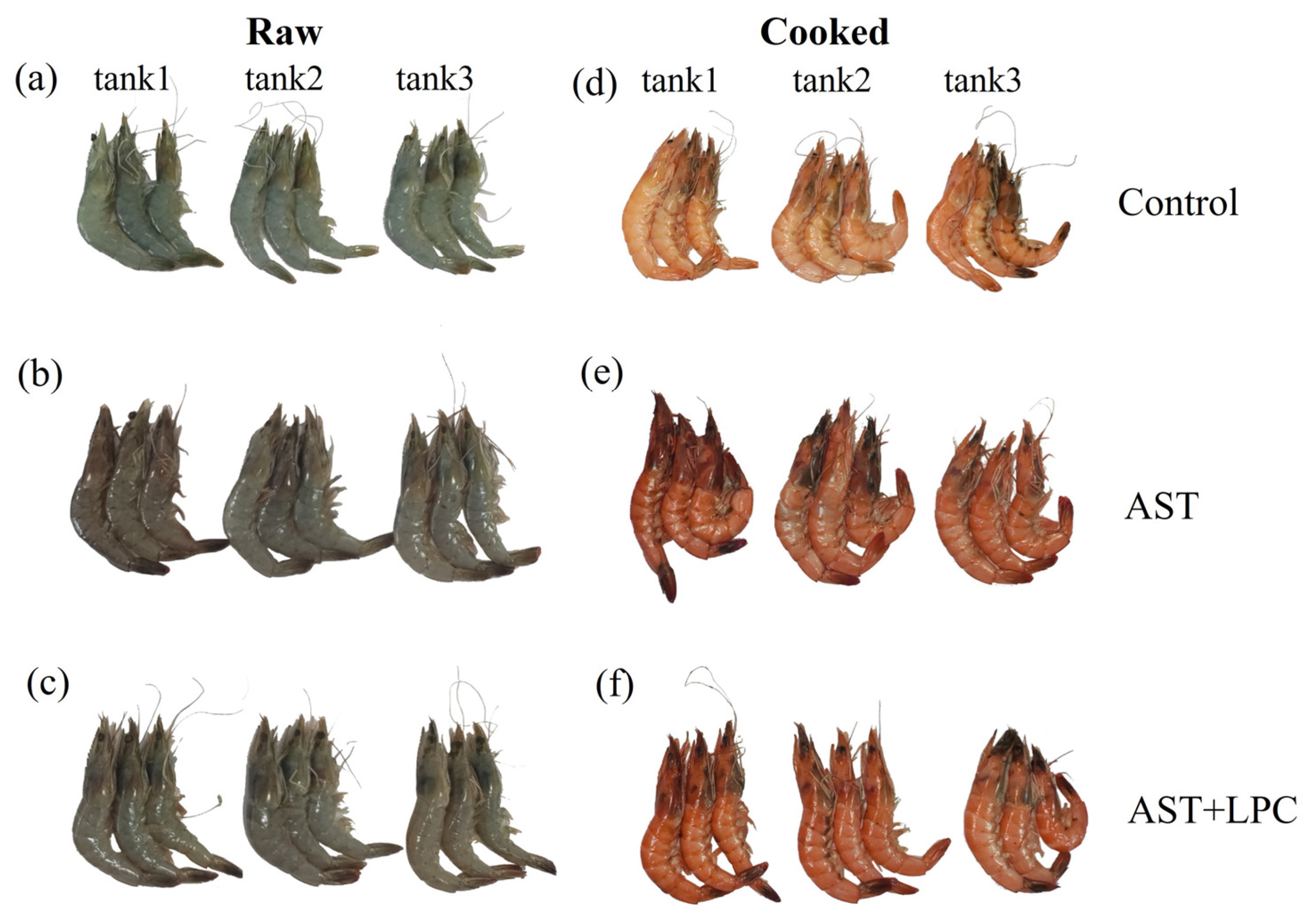 Antioxidants 13 00505 g004