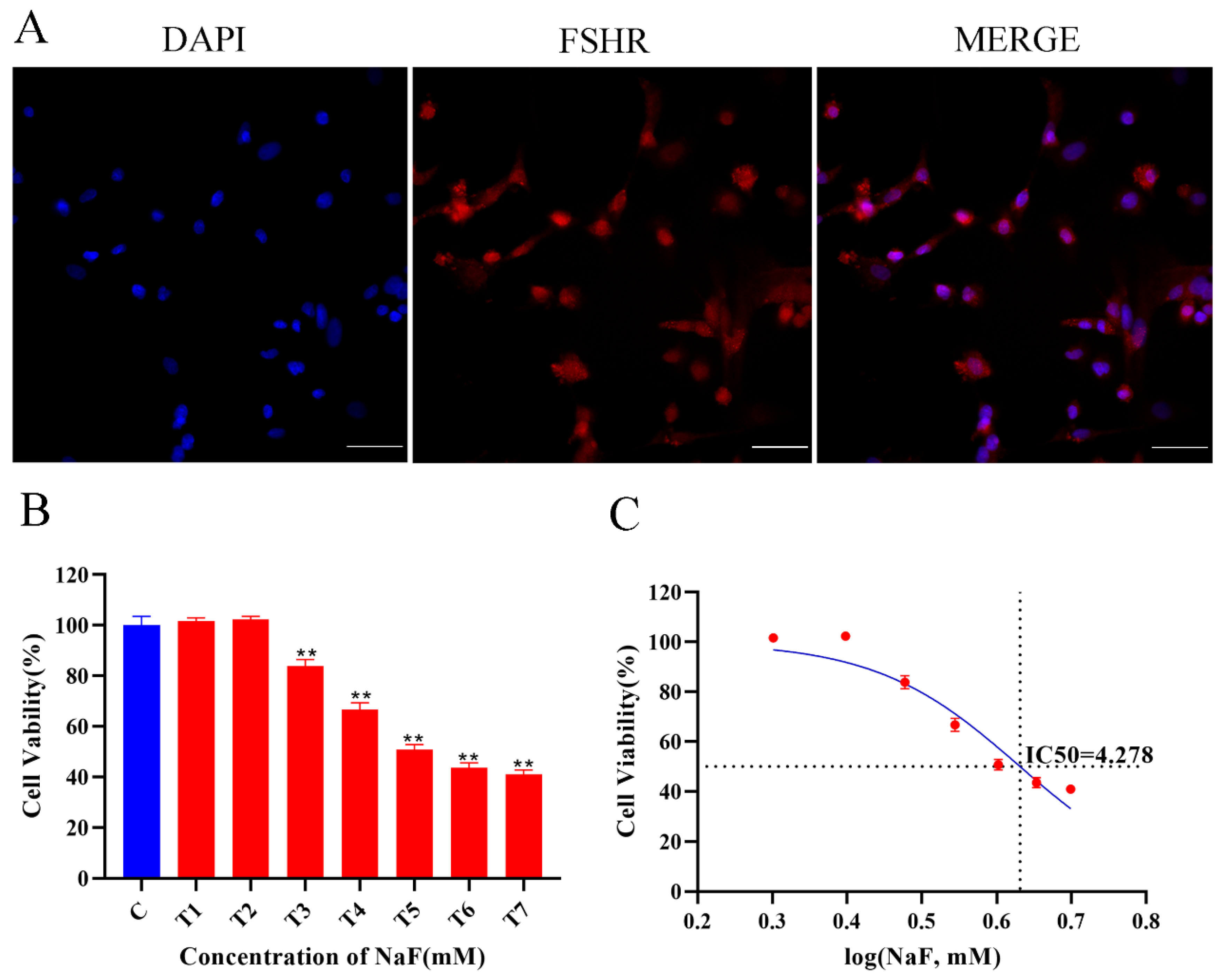Antioxidants 13 00506 g001