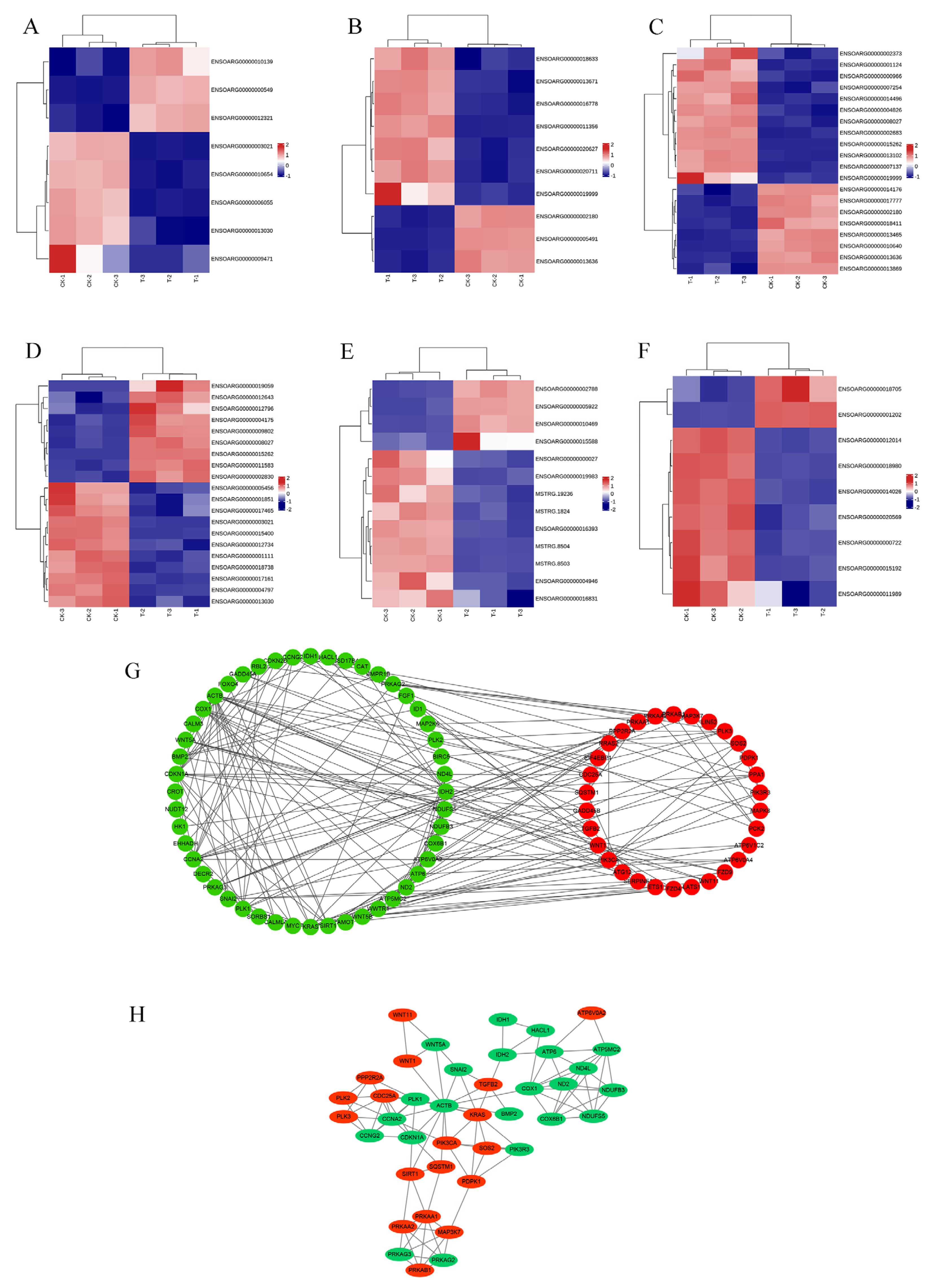 Antioxidants 13 00506 g008