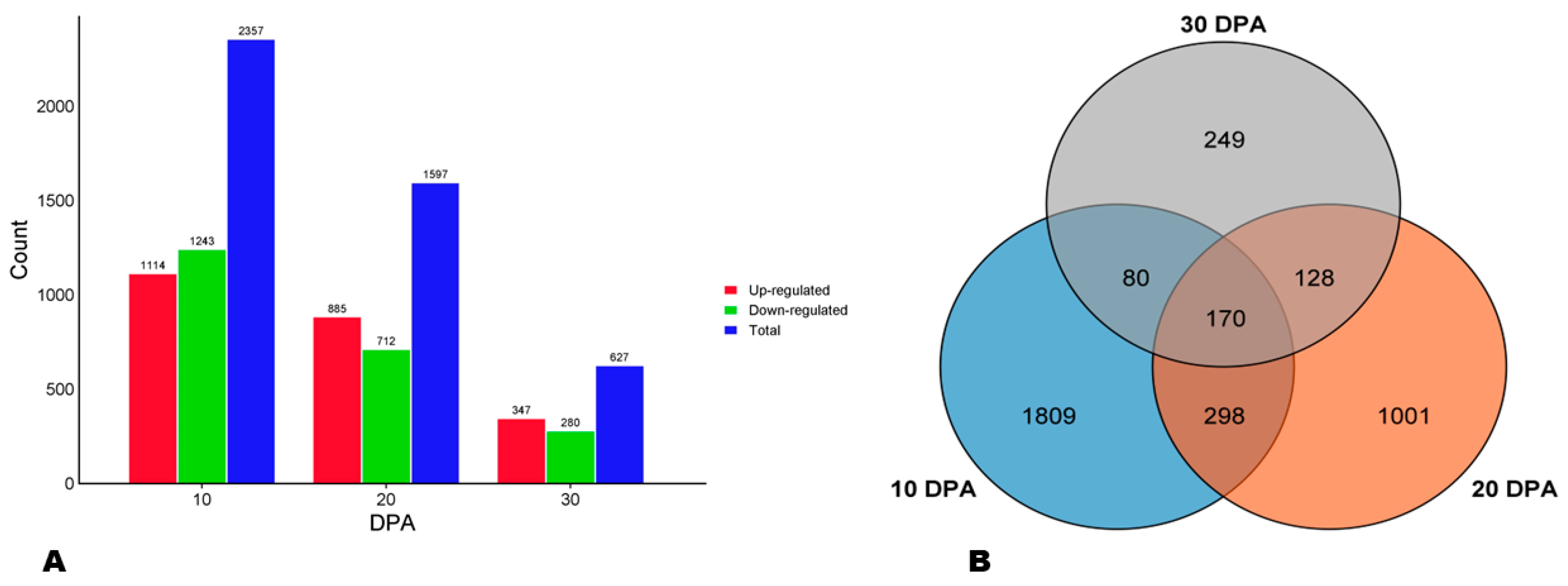 Antioxidants 13 00514 g005