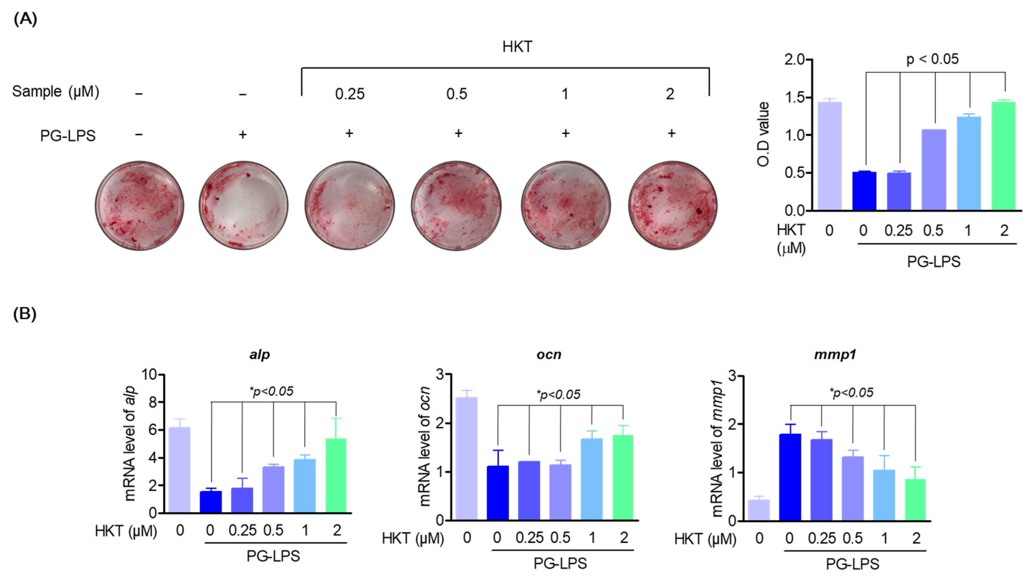 Antioxidants 13 00550 g003