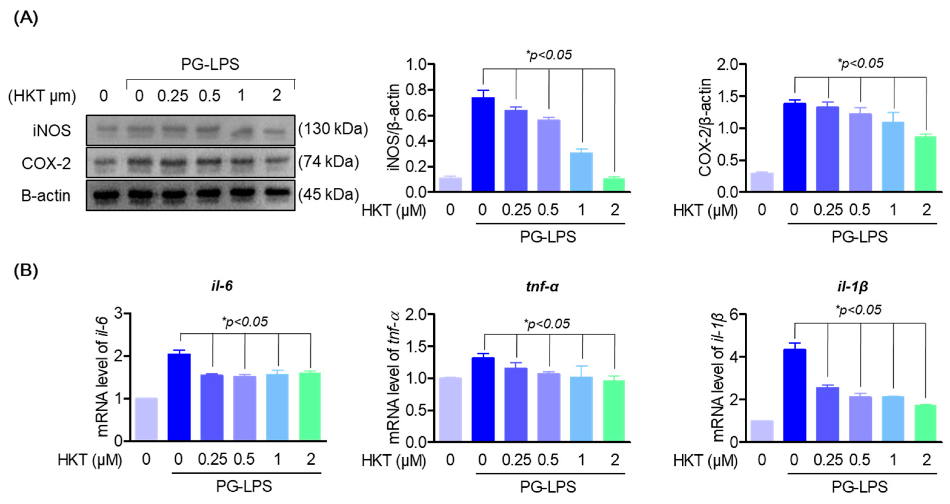 Antioxidants 13 00550 g004