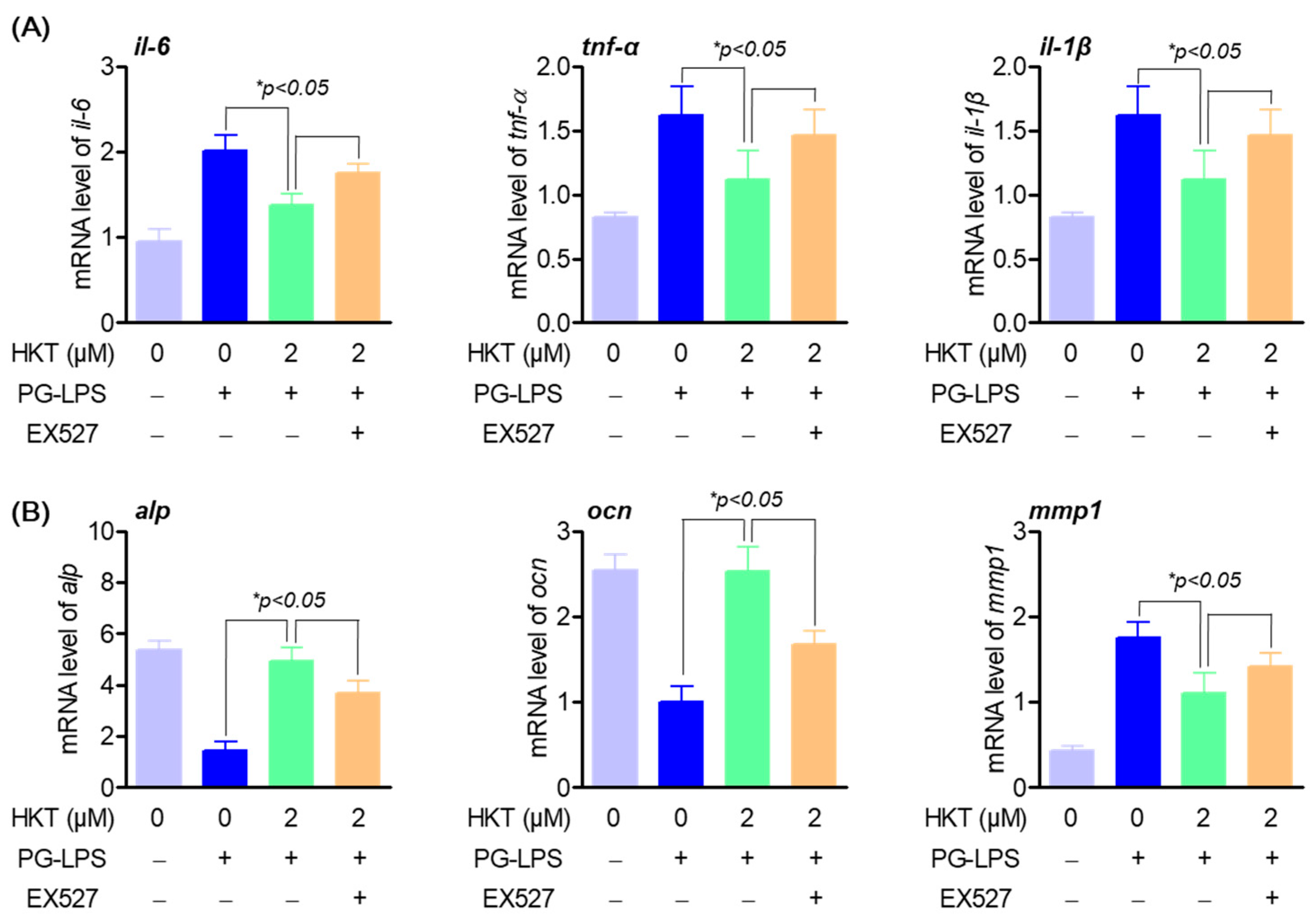 Antioxidants 13 00550 g007