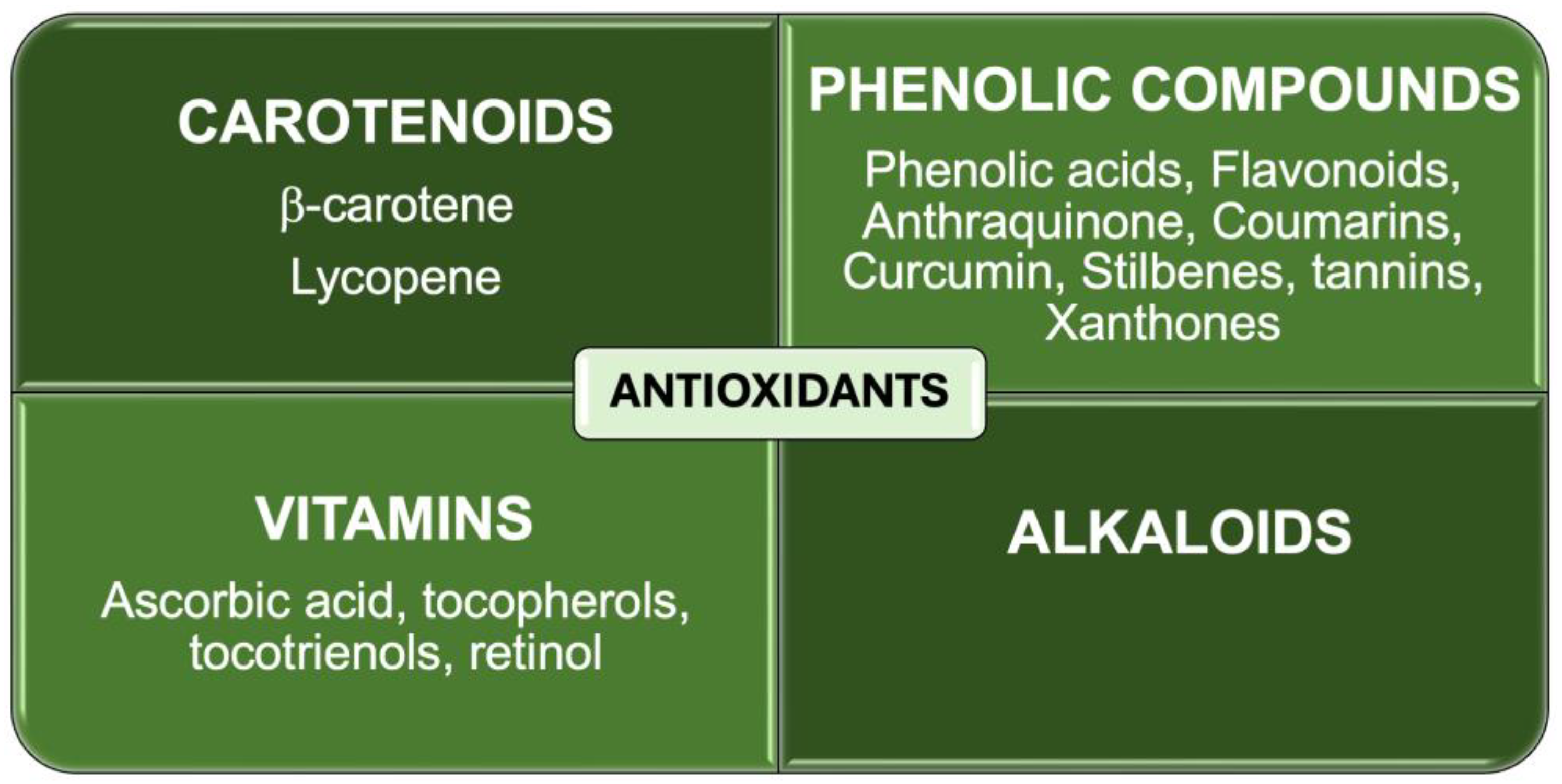 Antioxidants 13 00566 g002 Antioxidants 13 00566 g002