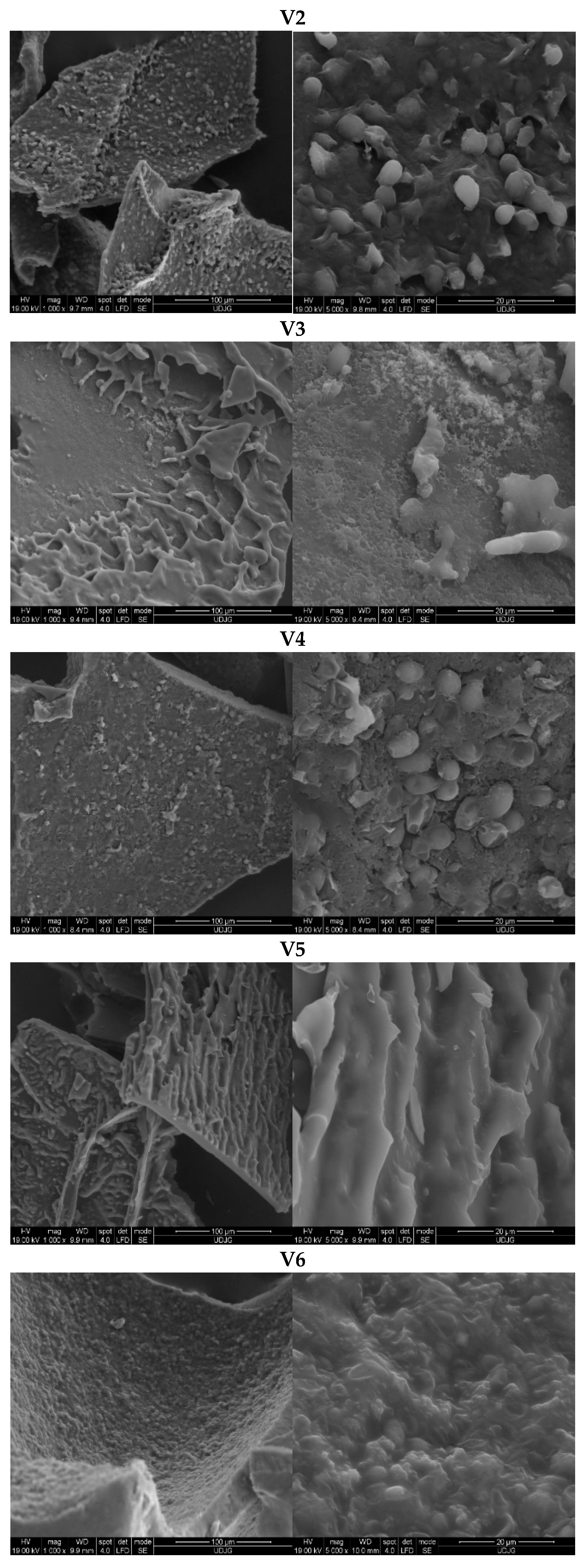 Antioxidants 13 00570 g006b