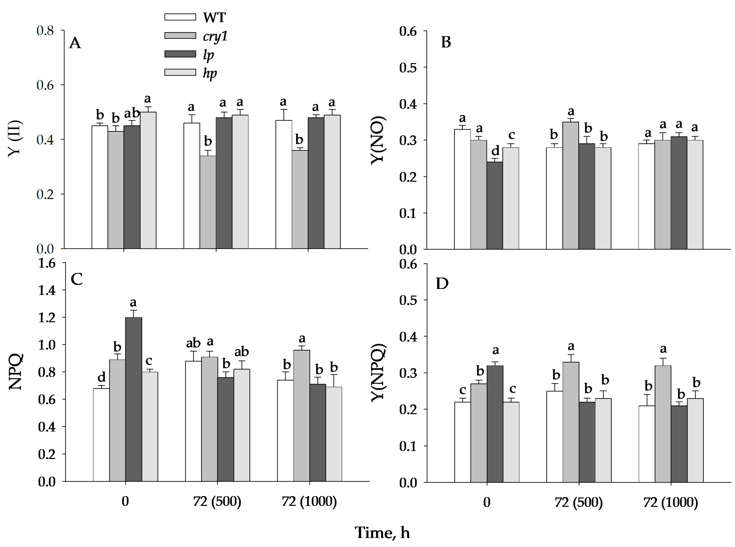 Antioxidants 13 00605 g002