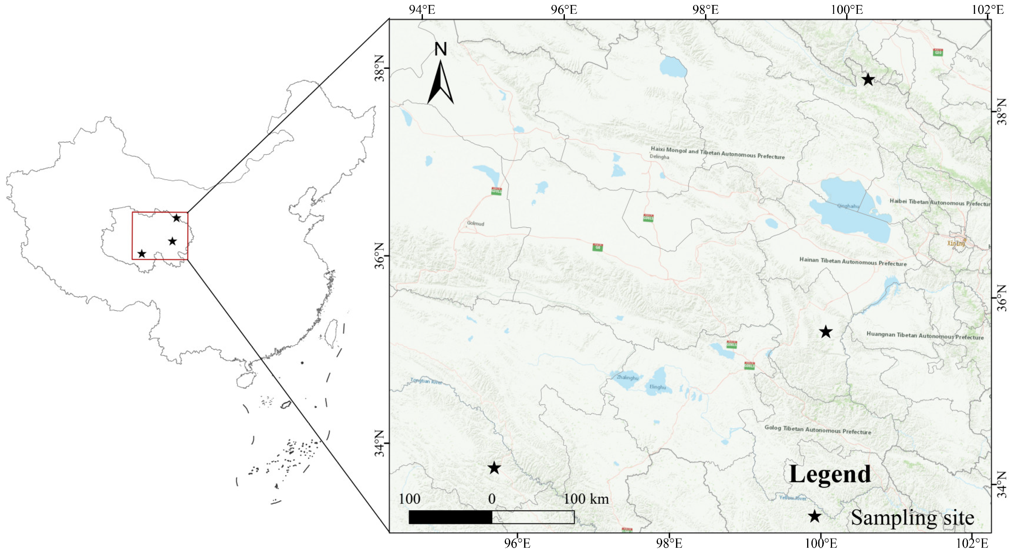 Antioxidants 13 00620 g001